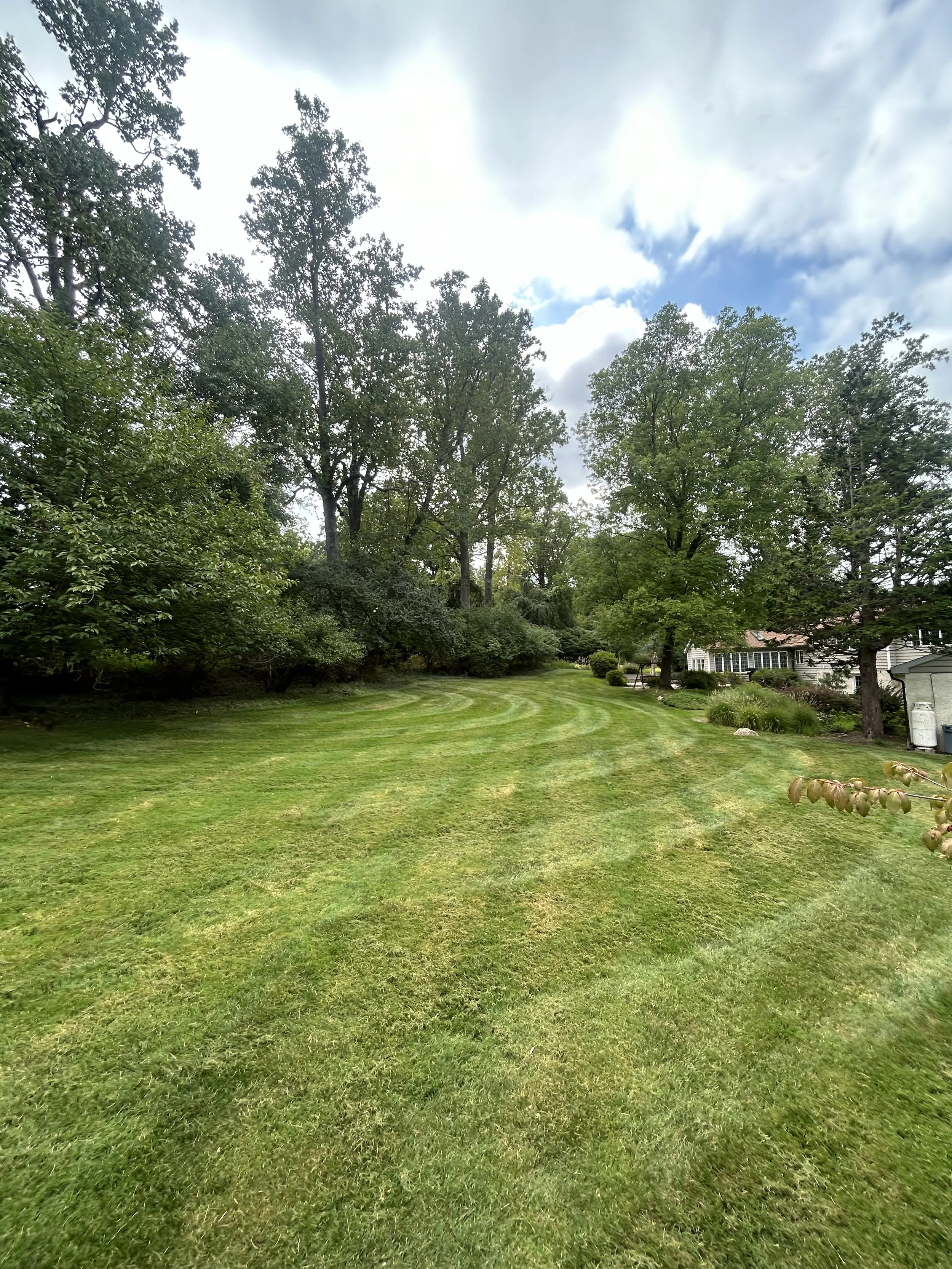 lawn with trees and cloudy sky