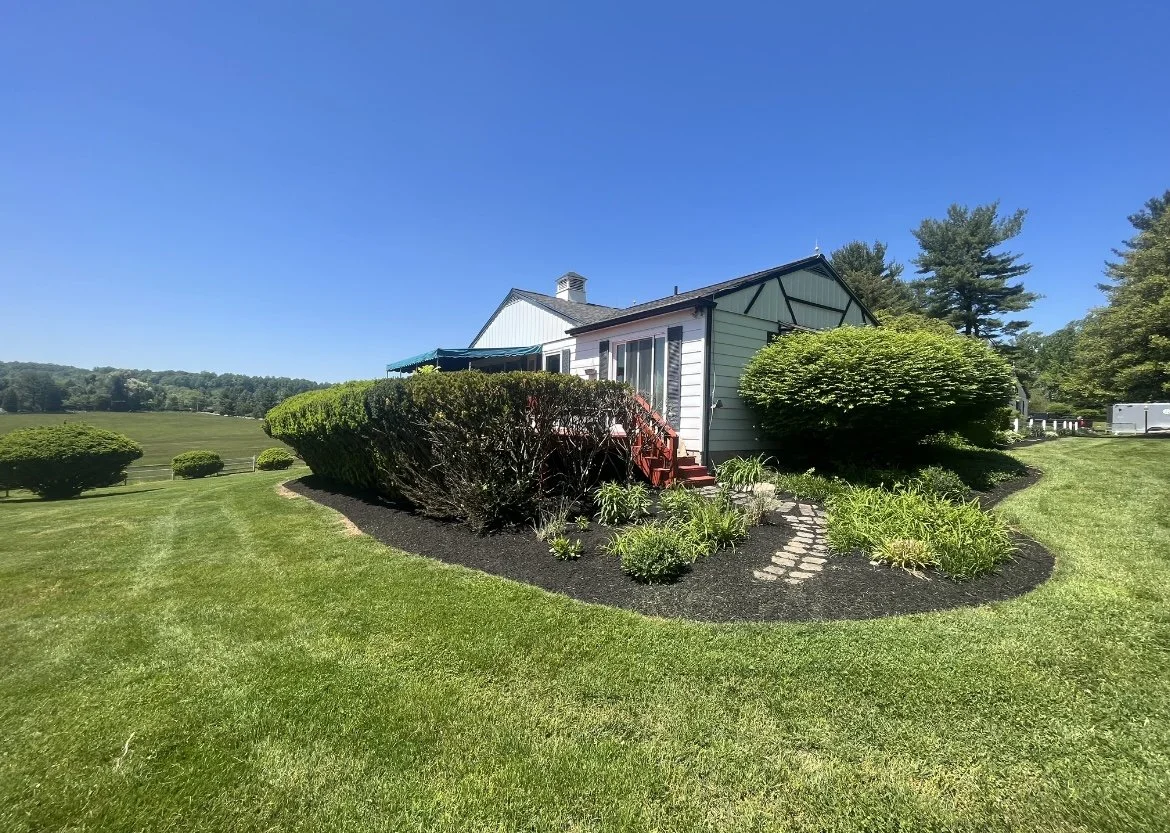 White house with red stairs and landscaped garden, surrounded by lush green grass and bushes, under clear blue sky.