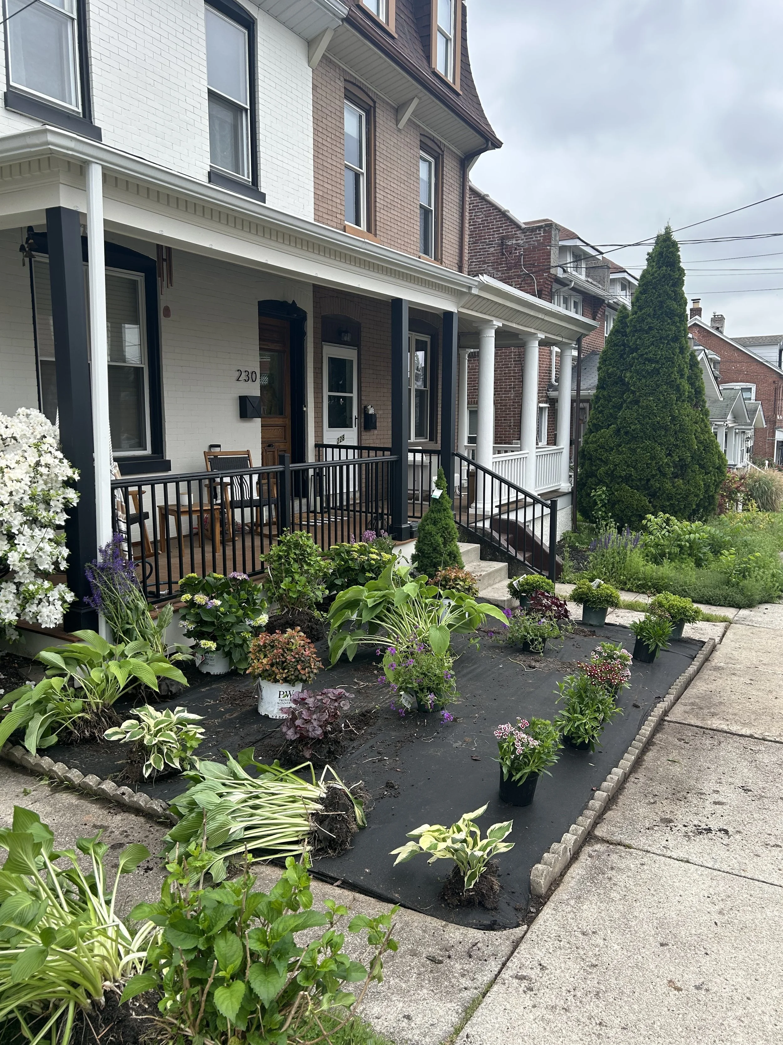 Front yard garden with various potted plants and flowers in front of a row house with a porch and black railing.