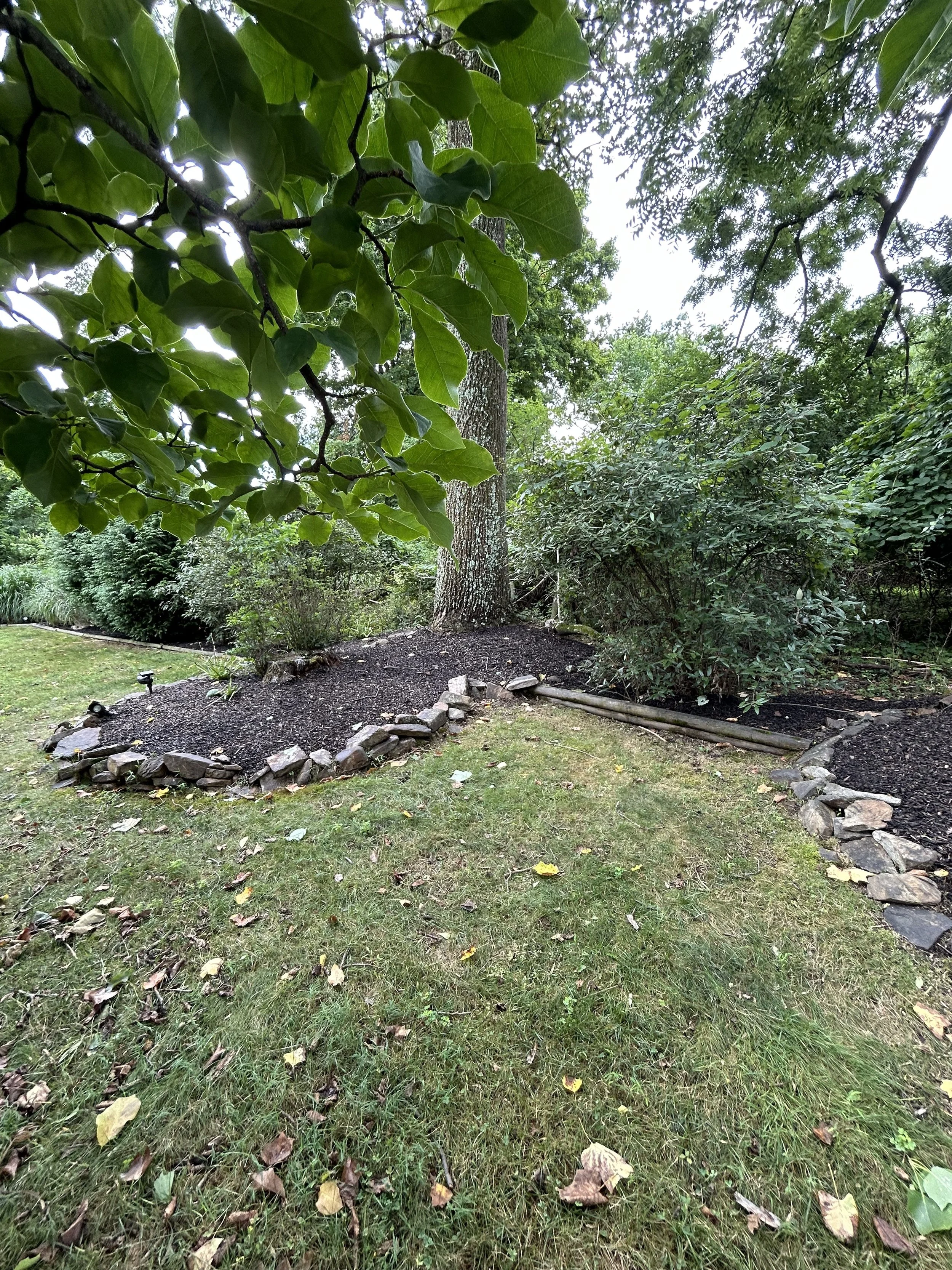 A garden with green grass, leafy trees, and a stone-edged mulch bed.
