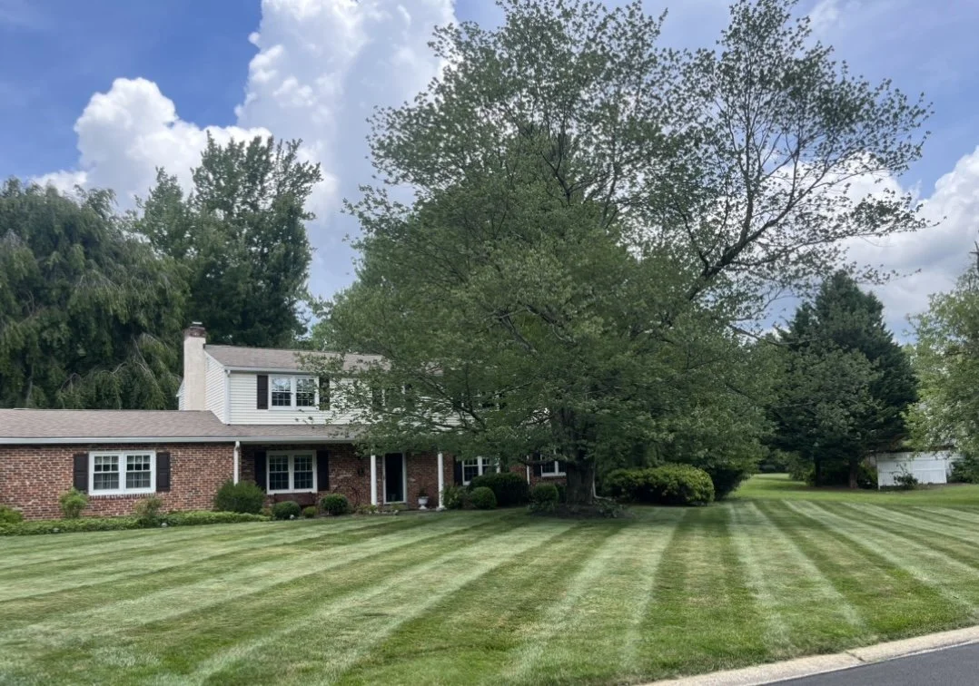 Suburban brick house with large lawn and trees under cloudy sky