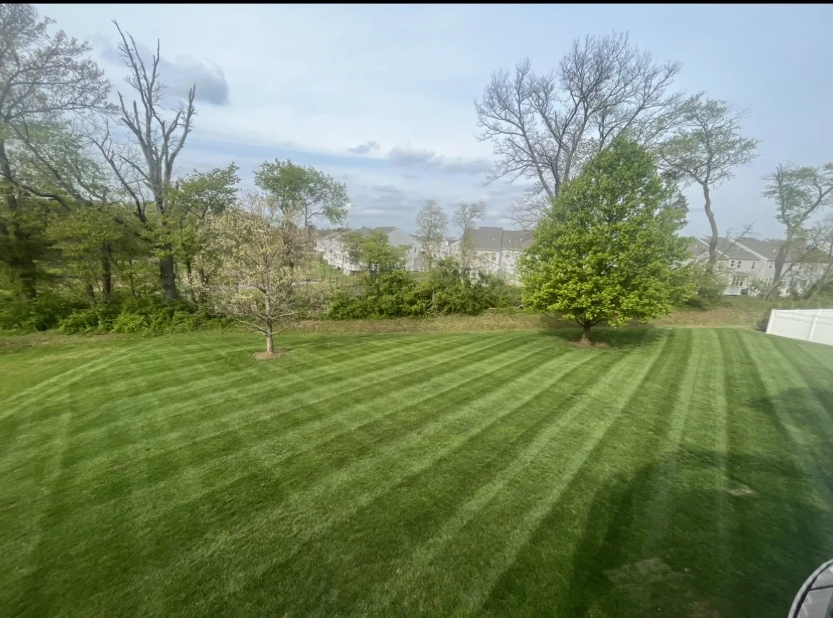 Lush green lawn with striped mowing patterns, two trees, and houses in the background.