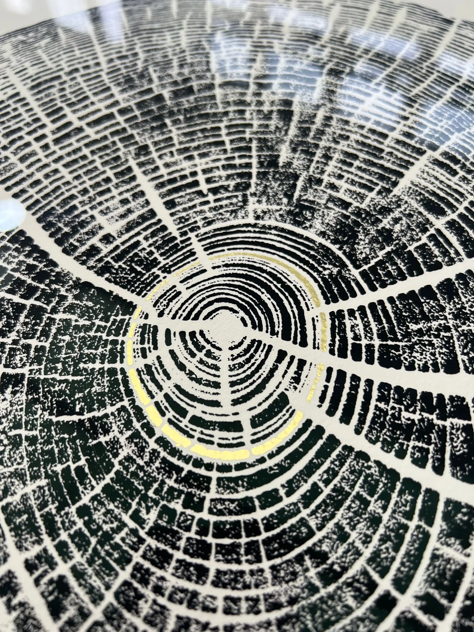 WhatsApp Image 2024-01-25 at 12.14.30.jpeg