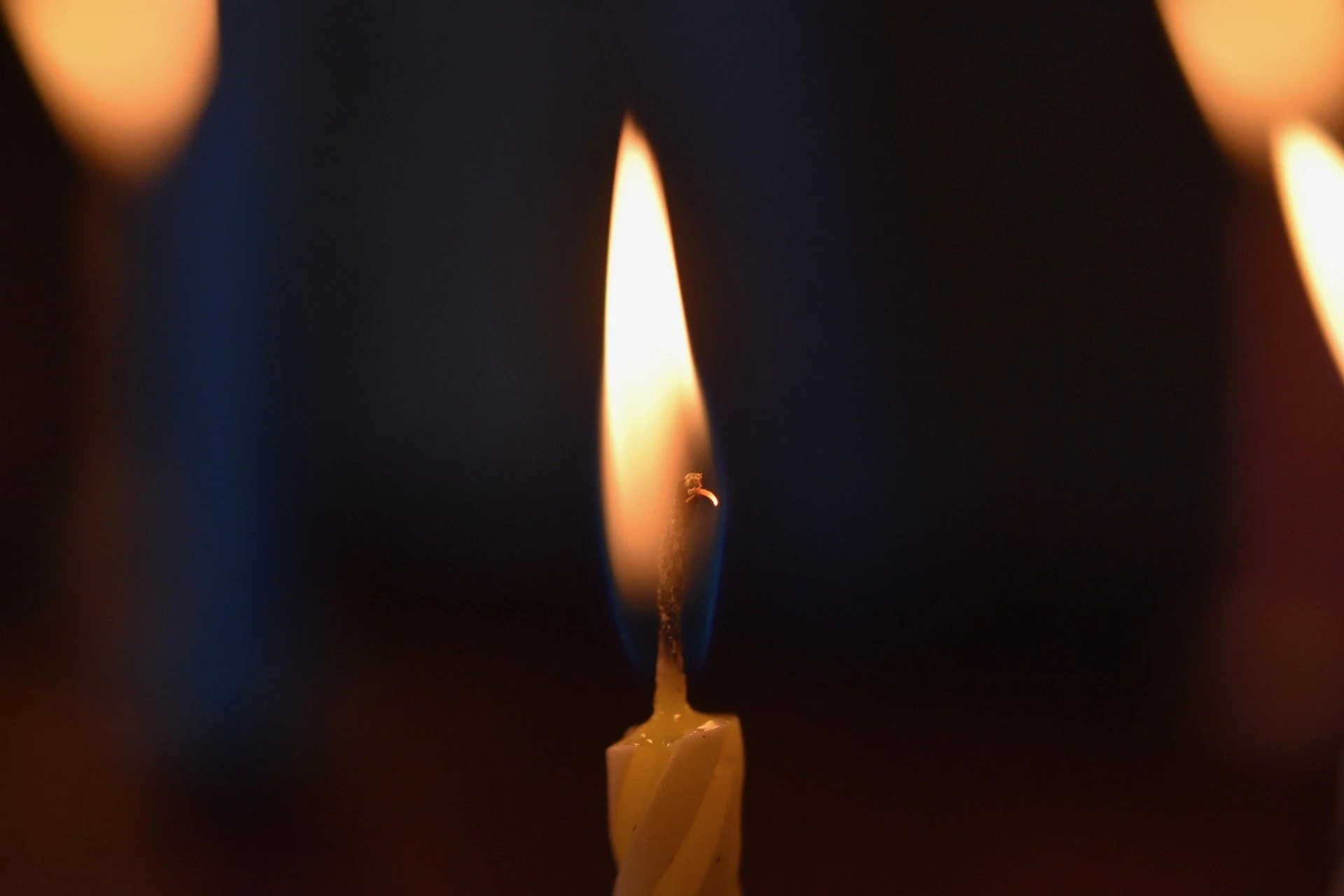 A Somber Birthday for Bluebonnet Books