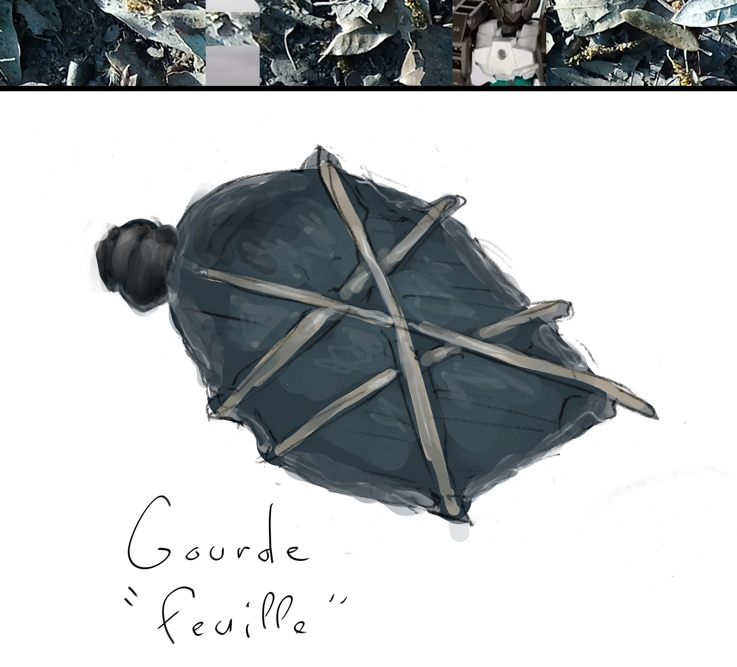 8 Gourde feuille Site.jpg