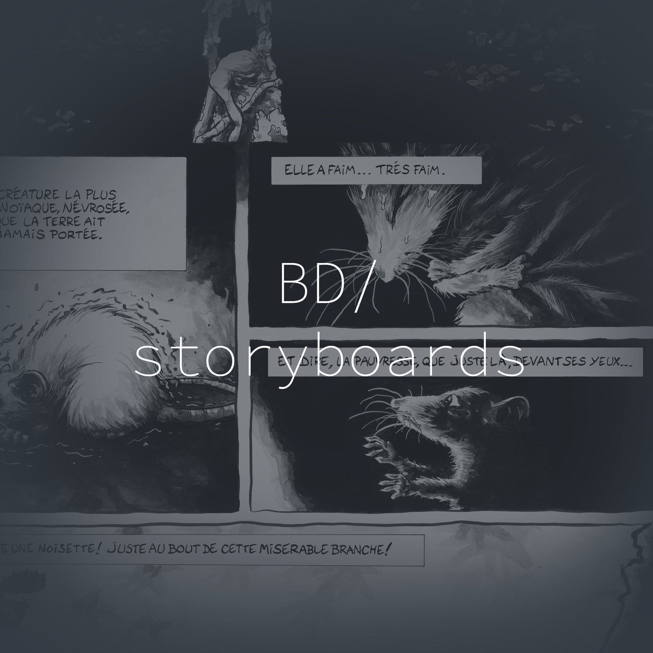 BD/storyboards