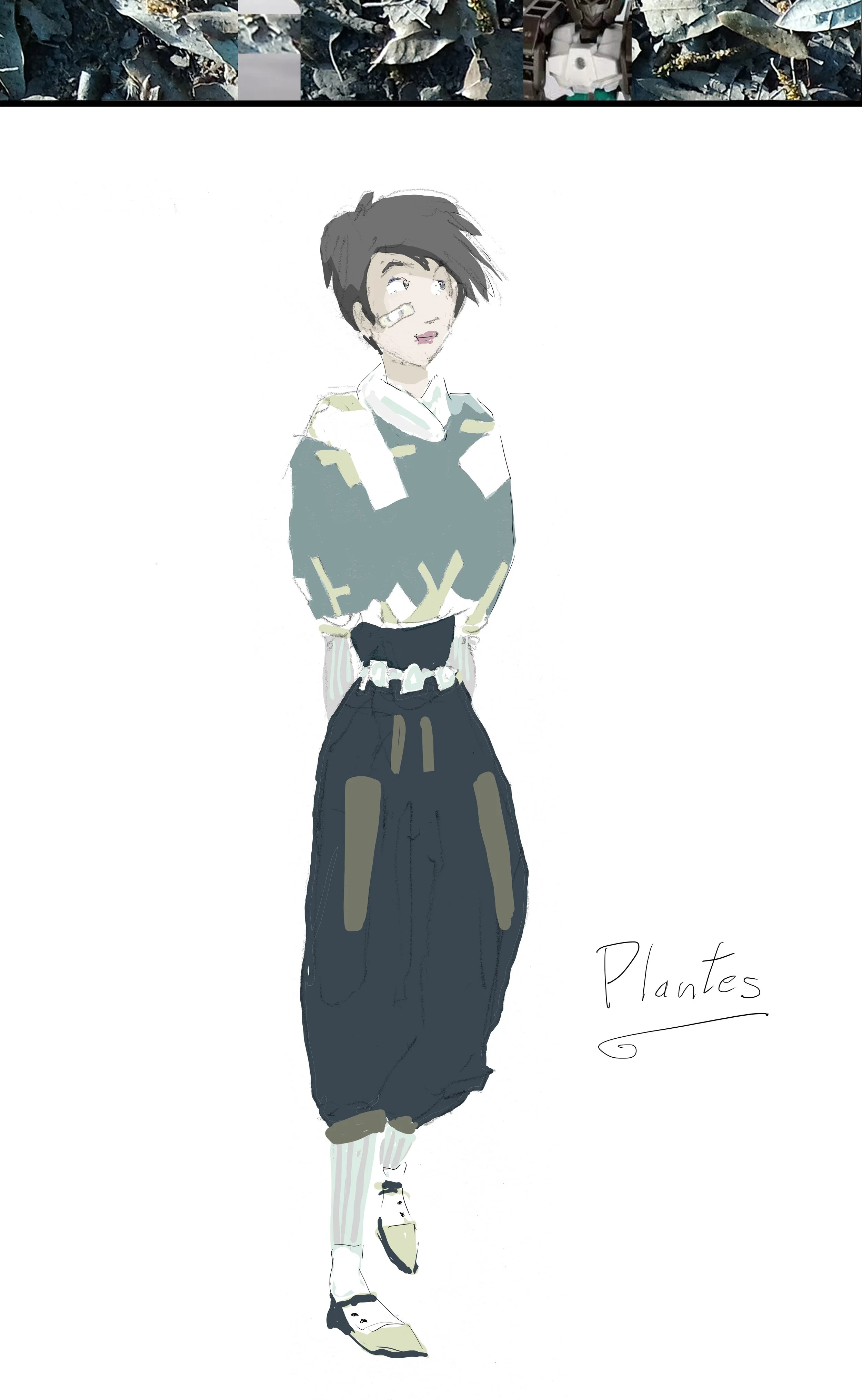 2 Plantes Banderolle Site.jpg