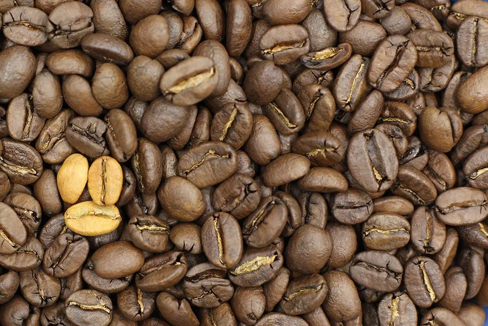 What are quakers and why they matter in coffee