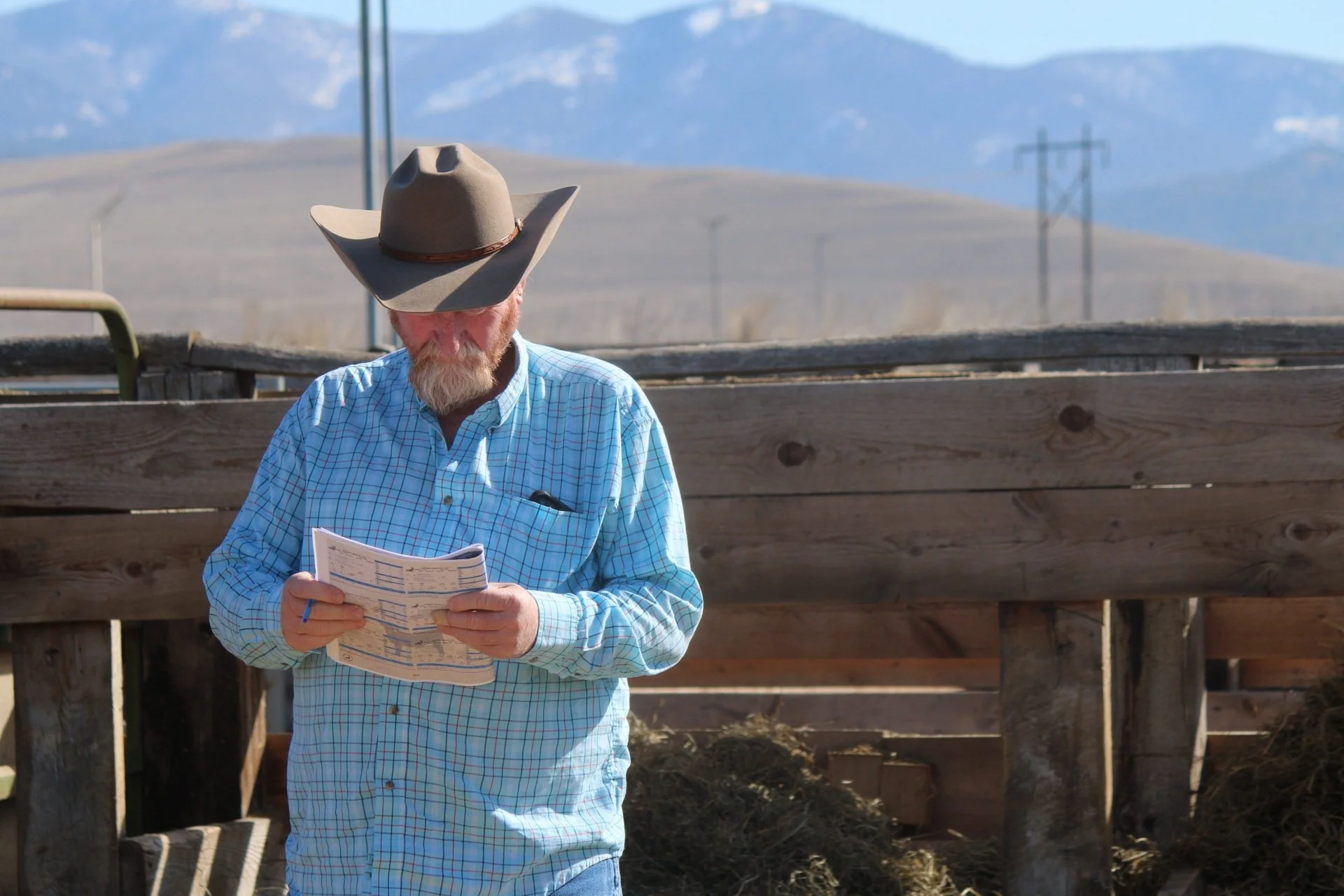 Request a Catalog Request Your Blevins Angus Catalog Today — BLEVINS