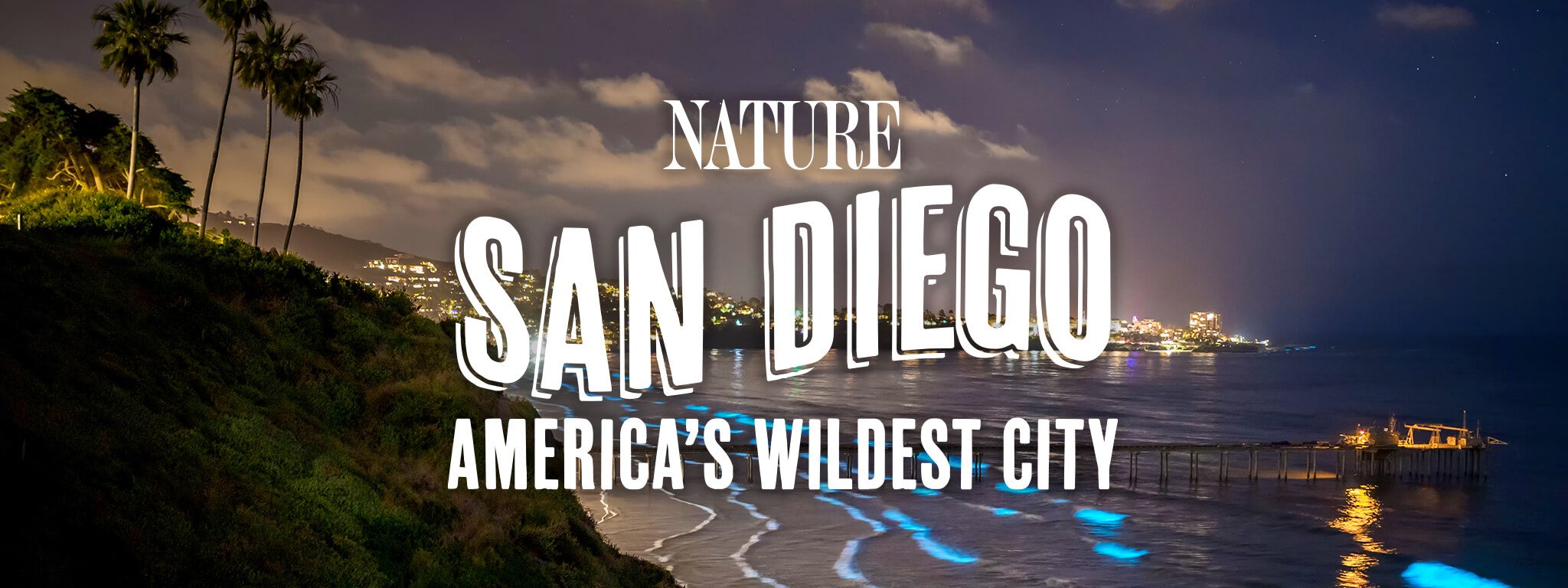 PBS Nature // America's Wildest City (2024)