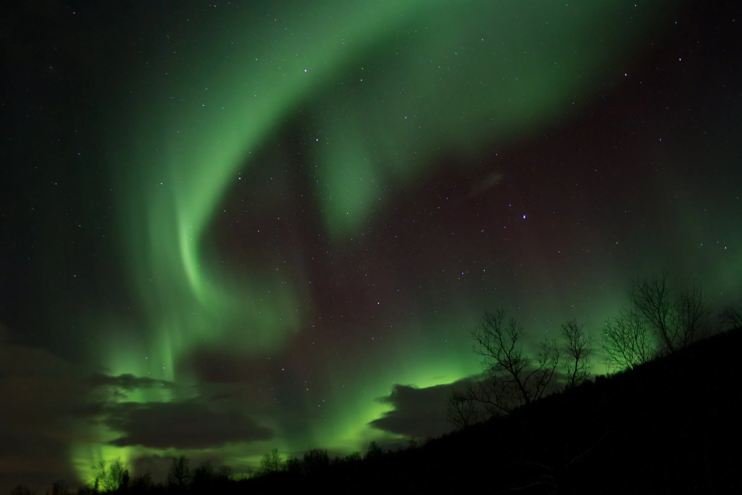 Northern Lights 2.jpeg