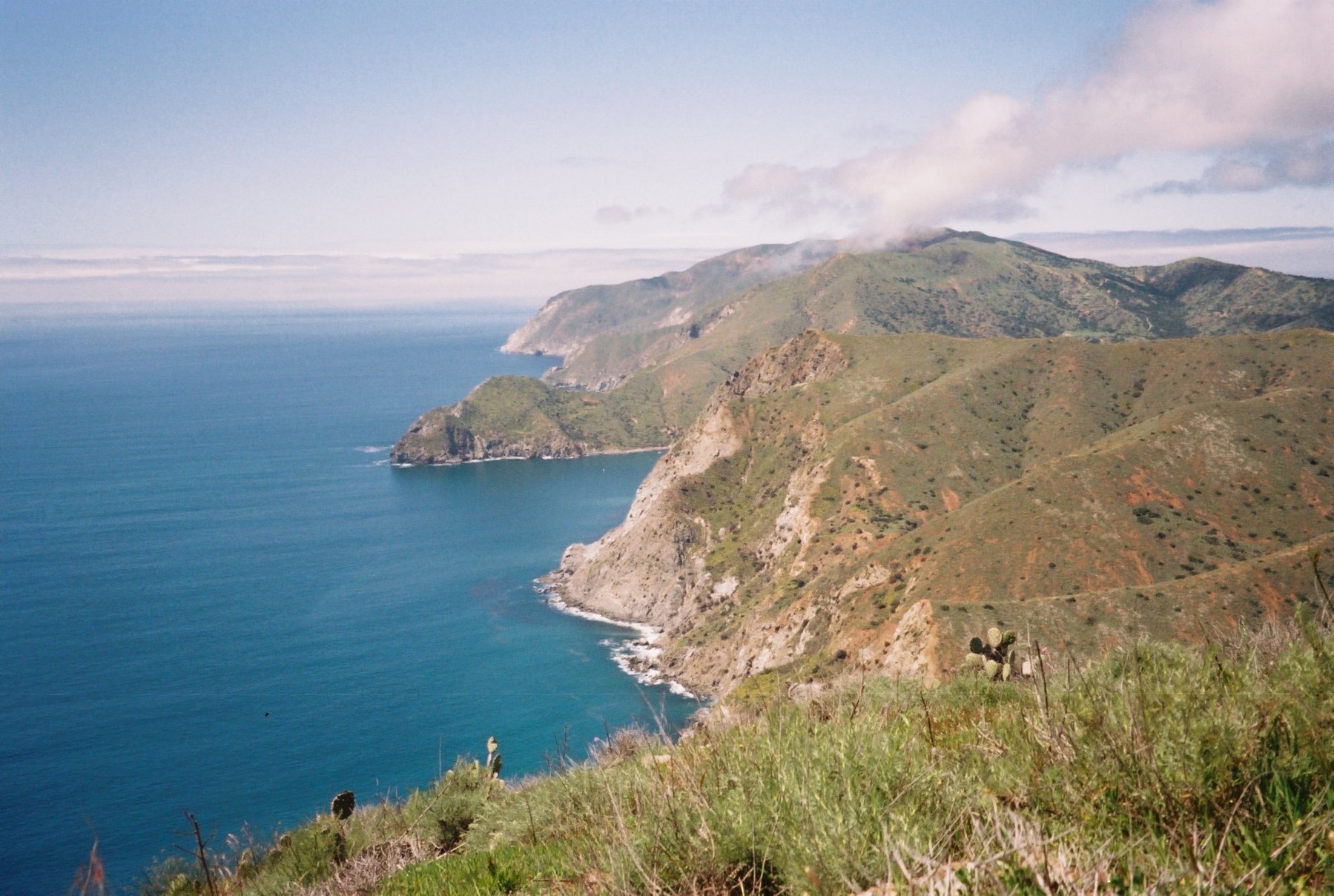 Catalina Trail .JPG