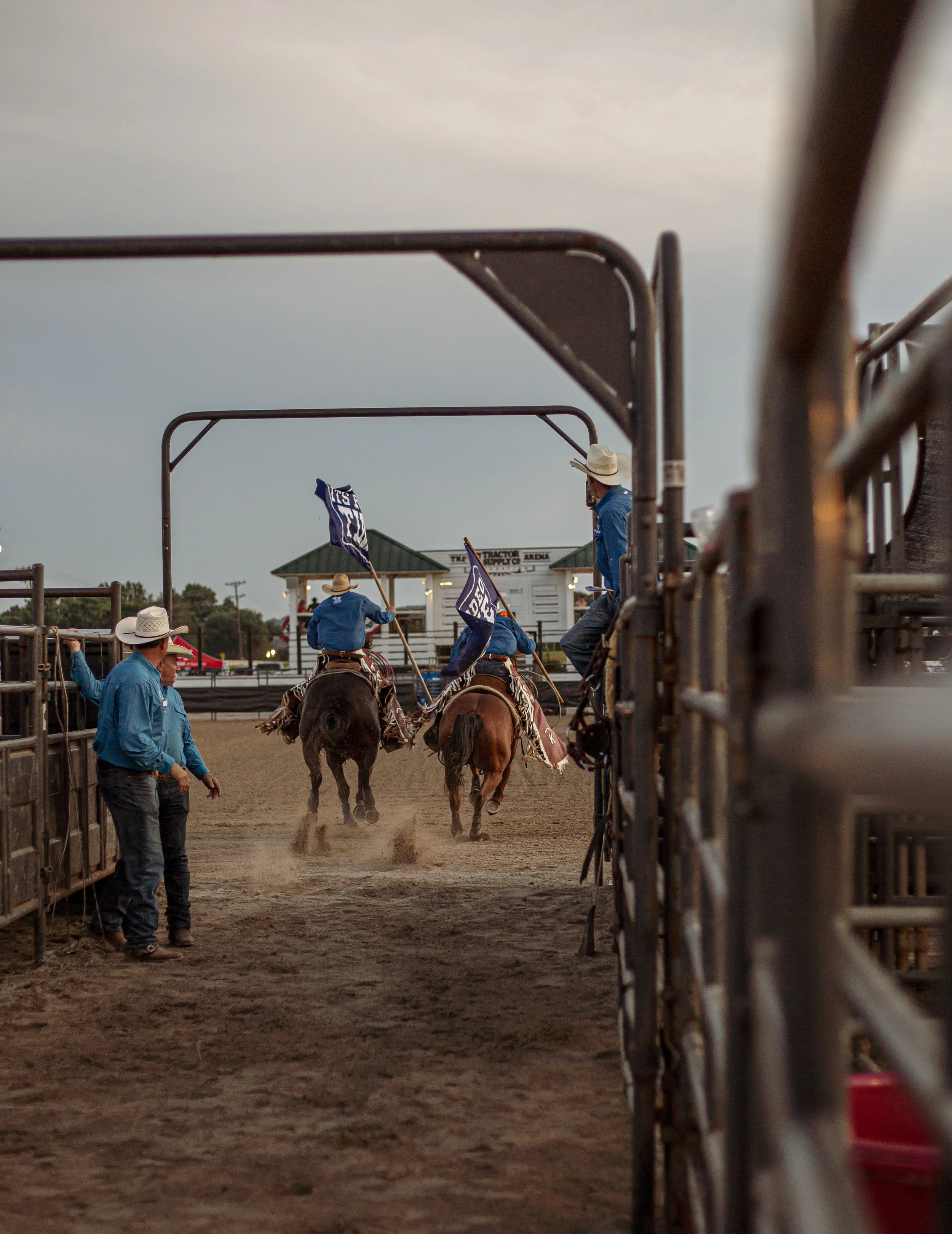 Cowboys riding horses through a rodeo chute with flags, watched by officials, at a rodeo arena during late evening or dusk.