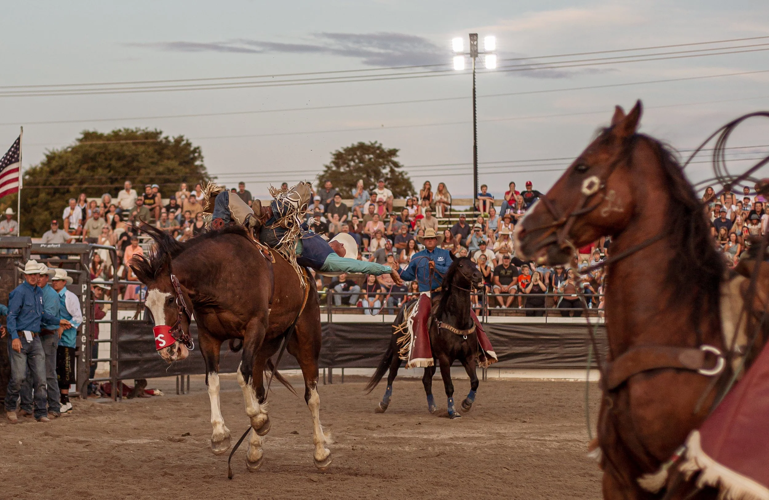 A rodeo scene with two horses and riders in the ring, a crowd of spectators in the background, and a person reaching out to the rider on the left.