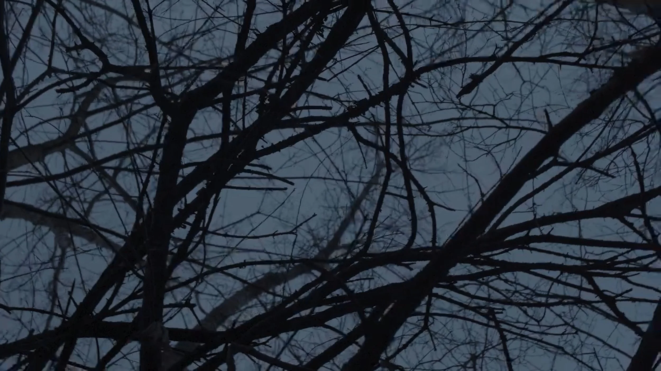 Timeline 1_01_12_01_11.jpg