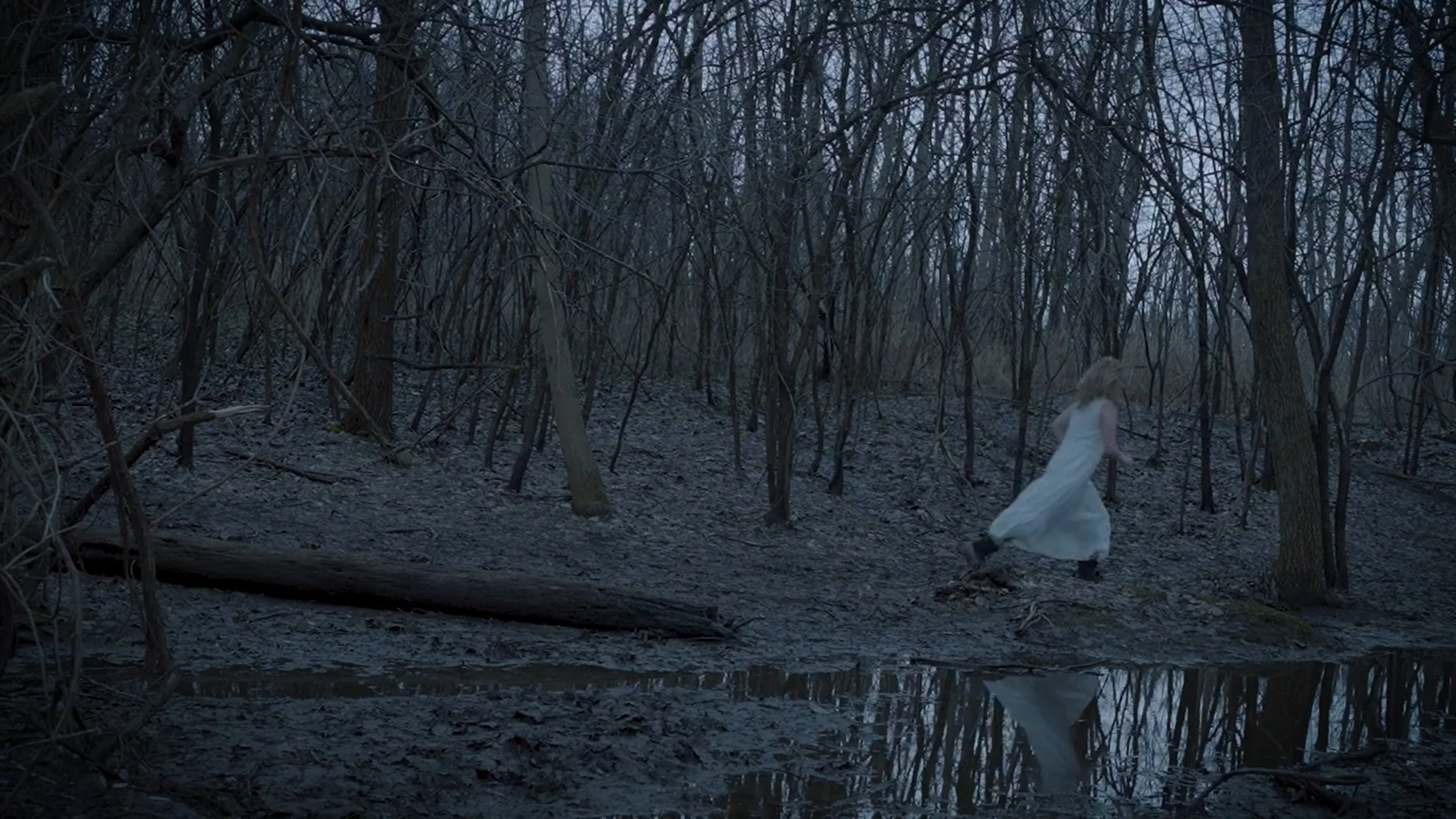 Timeline 1_01_04_43_11.jpg