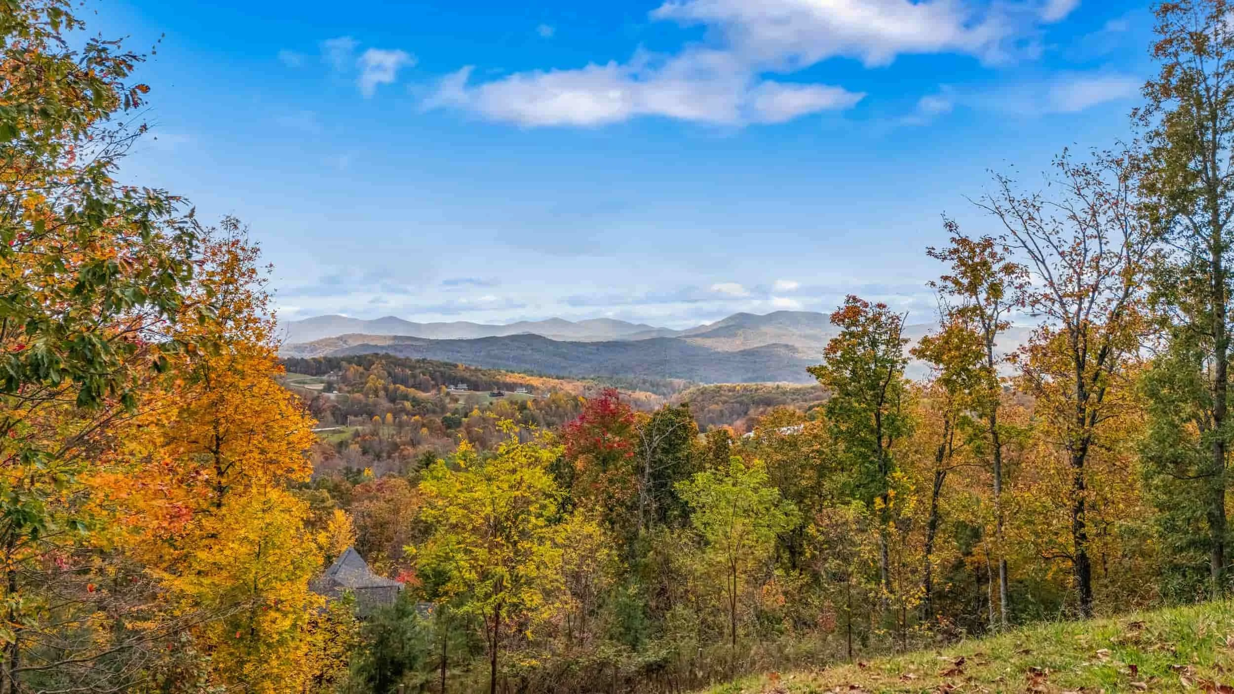 How to choose the best real estate media services for your MLS Listing or STR