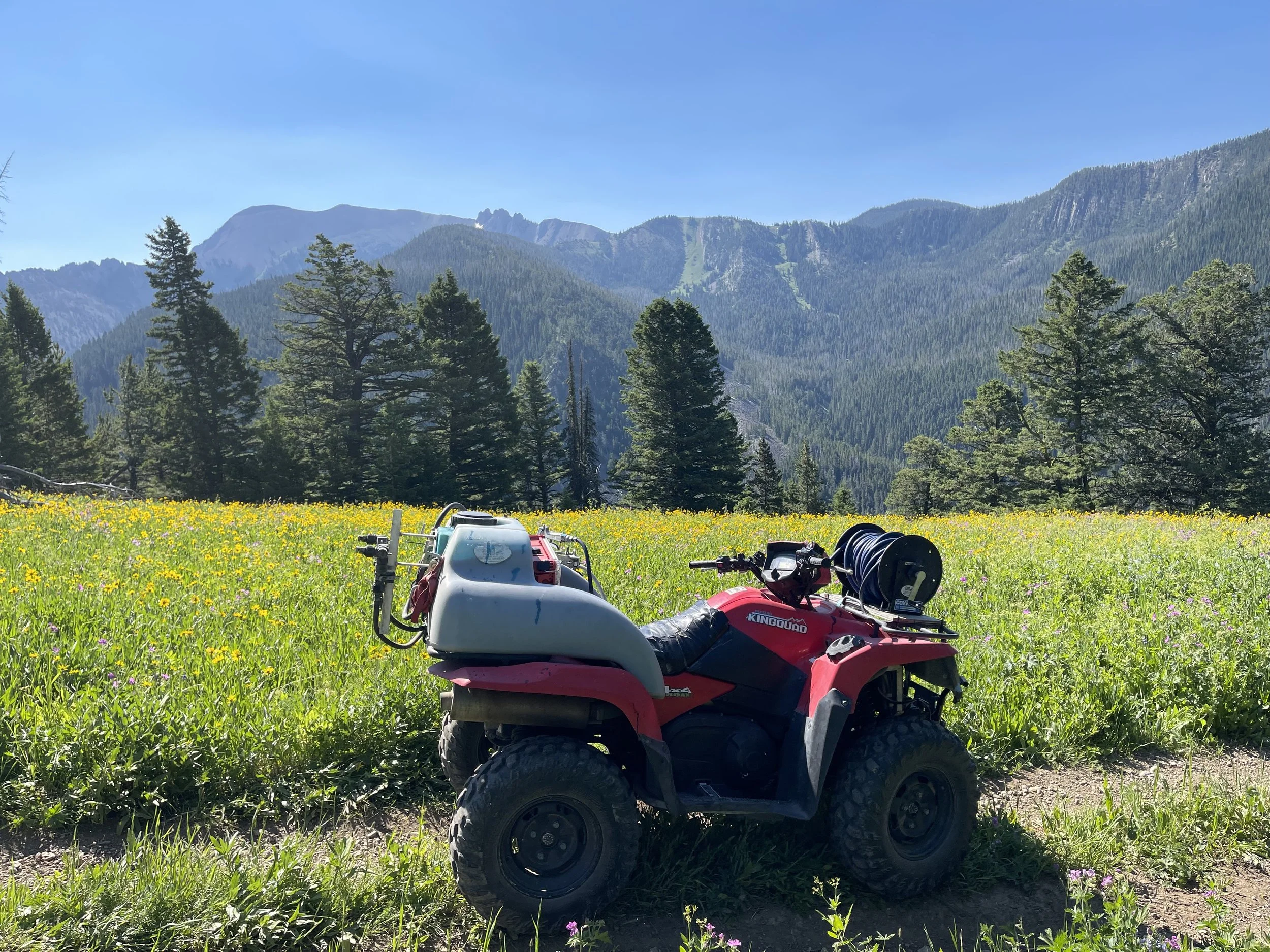 Non-profit & Forest Service Weed Control