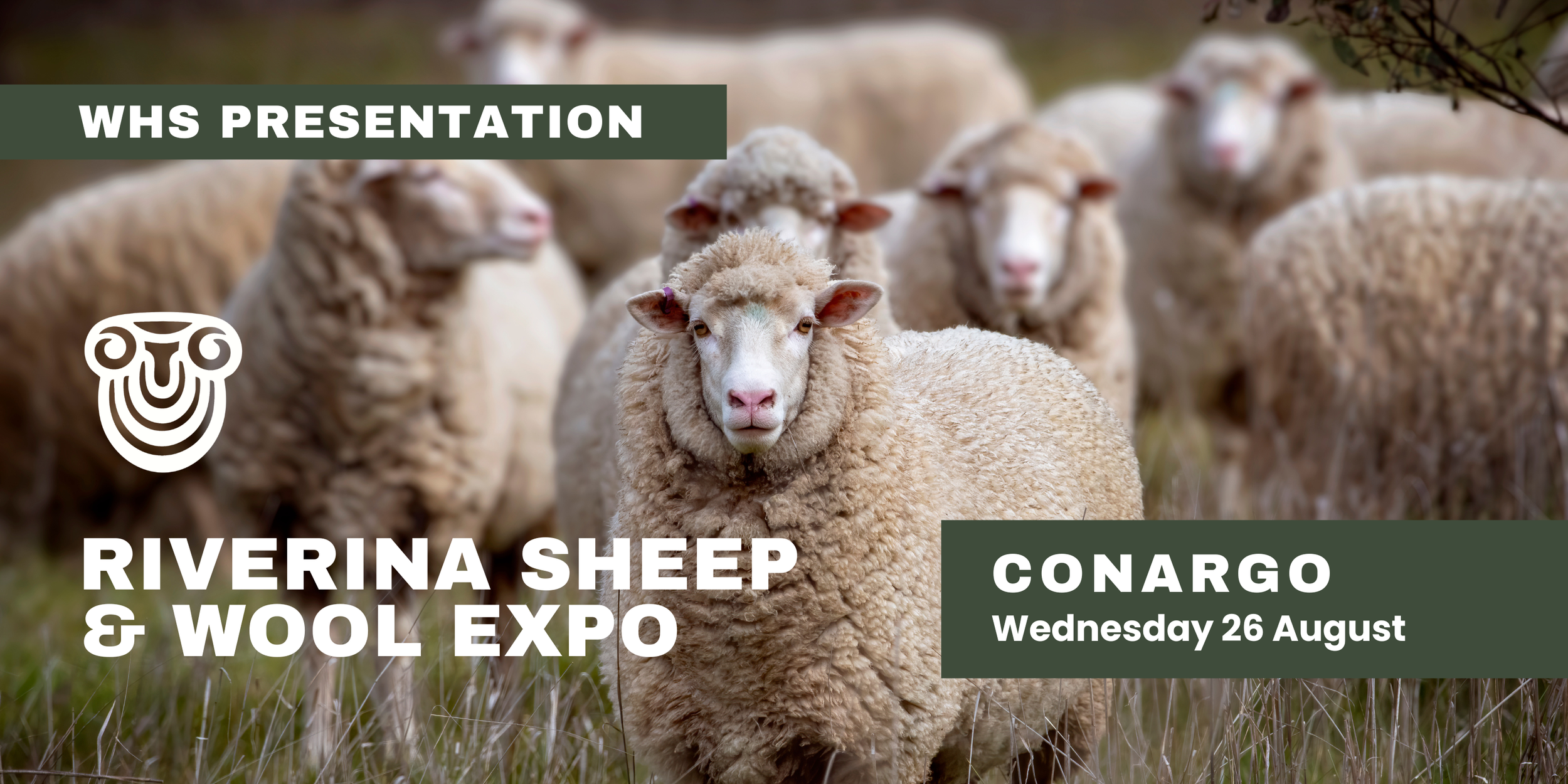 Ingham & Co WHS presentation graphic for the Riverina Sheep & Wool Expo featuring sheep in a paddock and event details for Conargo on Wednesday 26 August