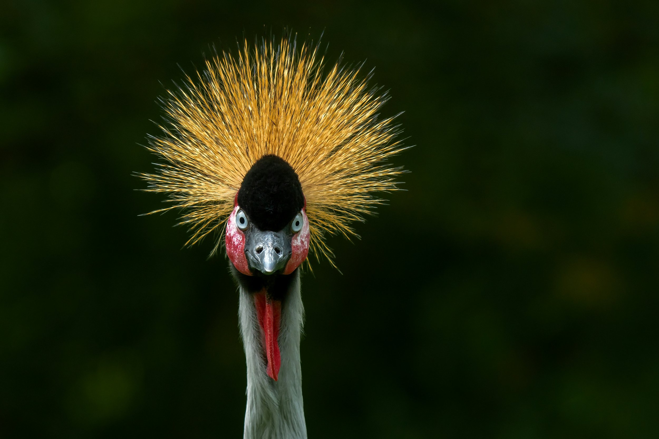 peter-neumann-OQg_adP-pFM-unsplash.jpg