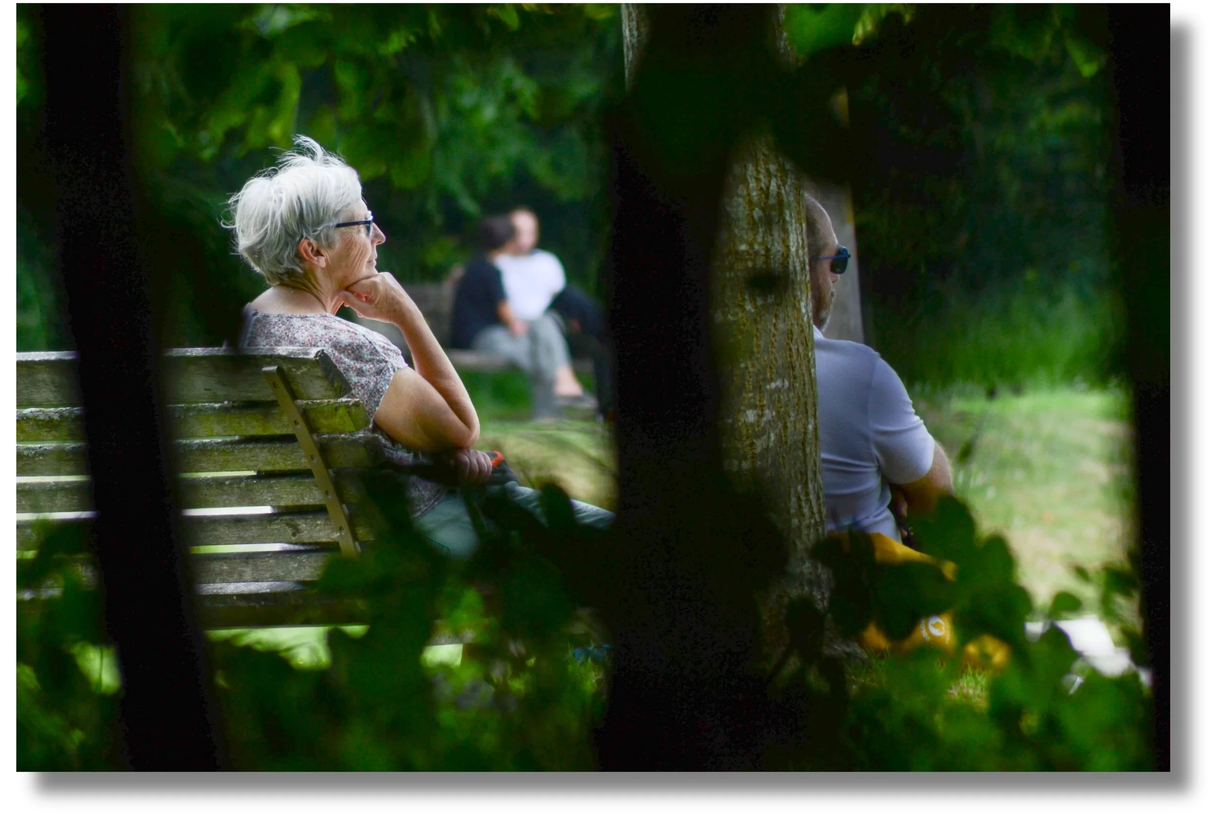 sur les bancs.jpg