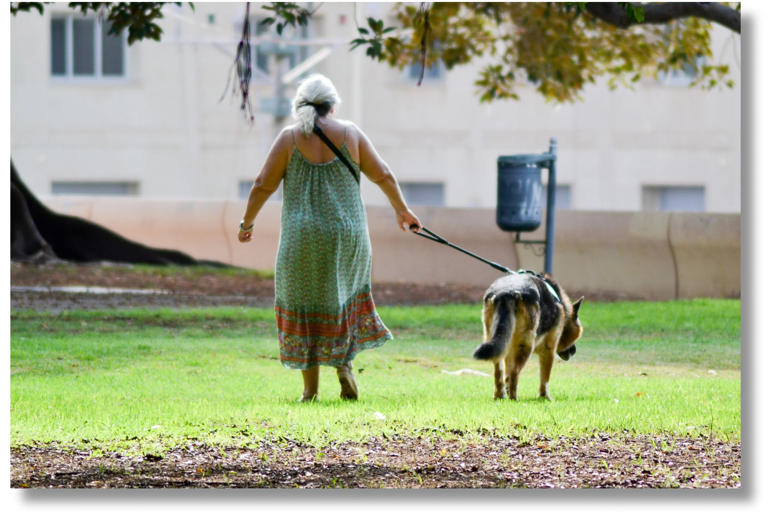 Compagnons de route.jpg