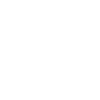 Line drawing of a flower with leaves and a small star-like shape nearby.