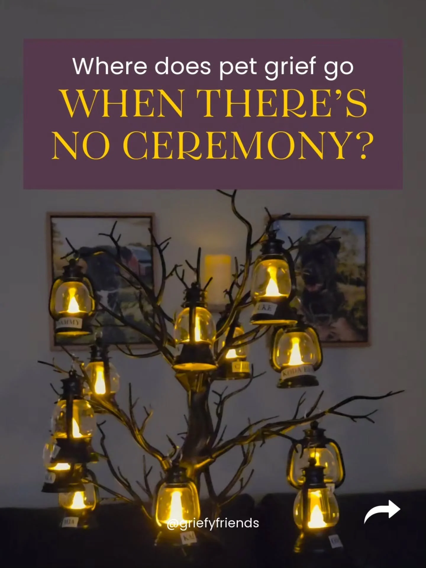 At our last Memorial Service, every pet parent present stepped forward and read their tribute.

It was hard and it mattered.

Because there&rsquo;s something different about speaking for your own beloved.
Not just submitting their name or seeing thei