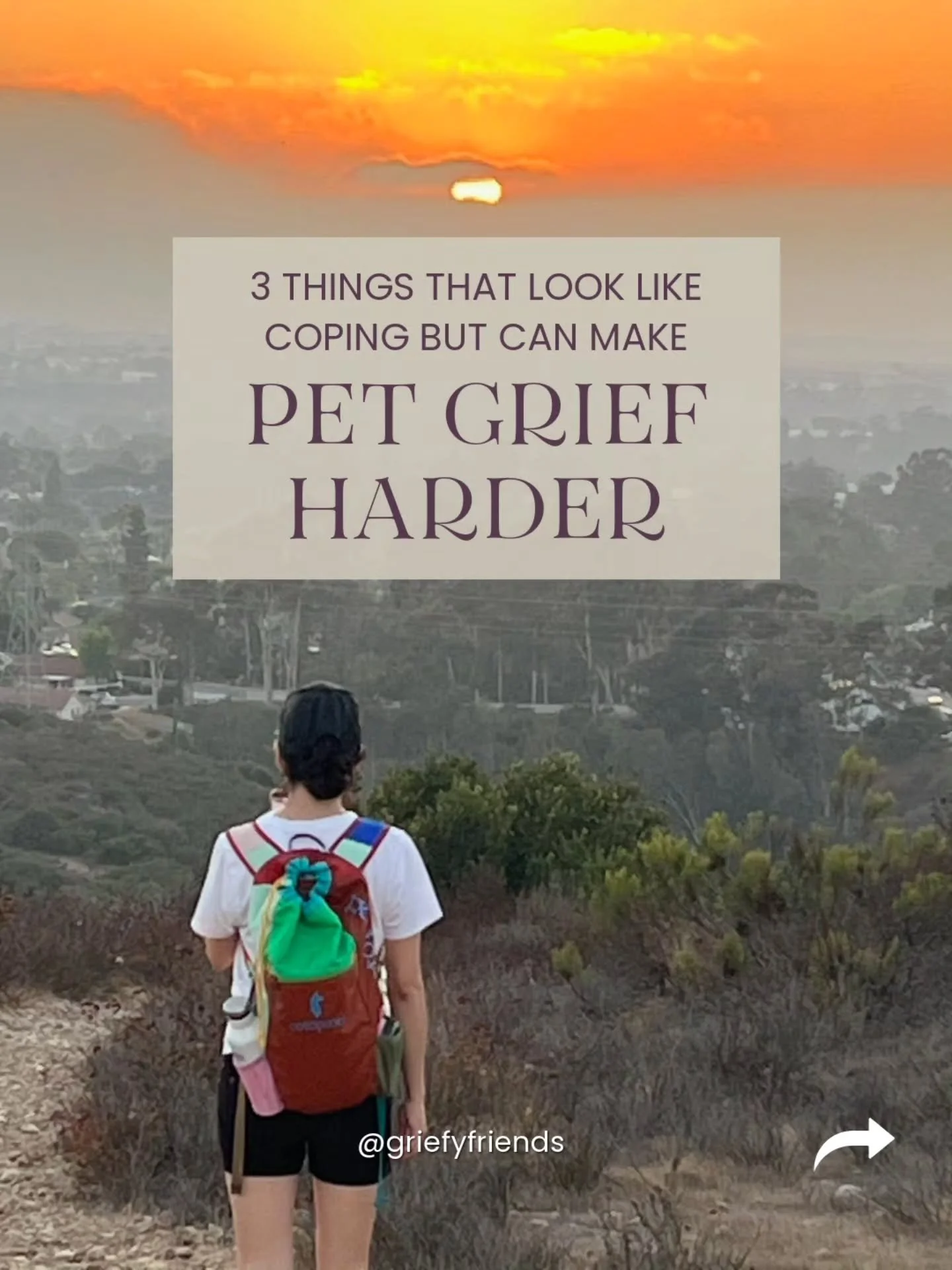 Some pet grief coping starts as survival.
Putting the photos away.
Staying busy.
Not talking about your beloved.

I'm great at avoiding. I understand why we do it.
Sometimes looking at the loss directly feels like too much.
But pet grief gets heavier
