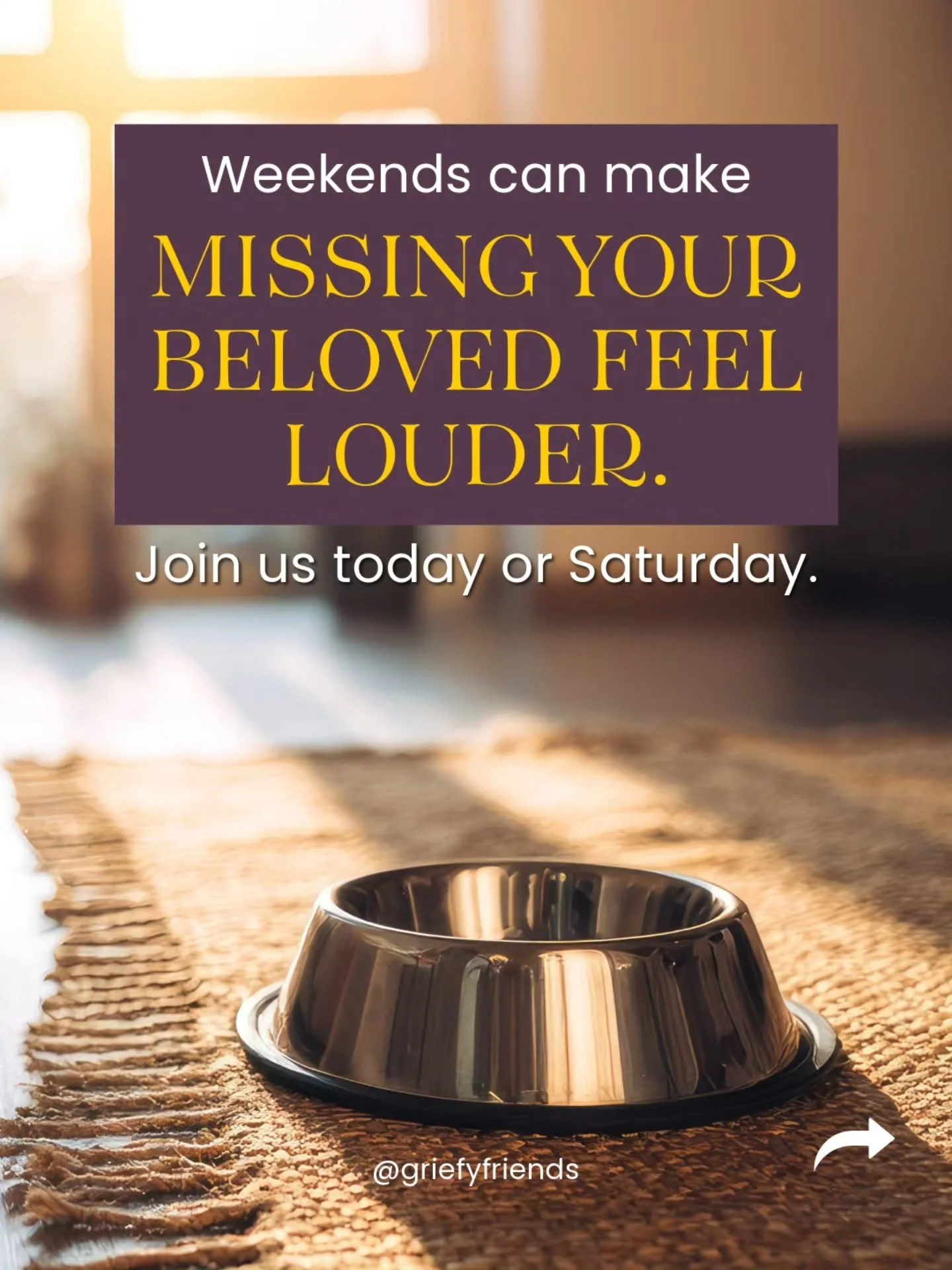 Weekends can be hard after pet loss because the routine you had with them is gone.

The walks, the meals, the little moments that used to shape your day, all of it changes.&nbsp;

When the weekend hits and there's no work or distractions, the missing