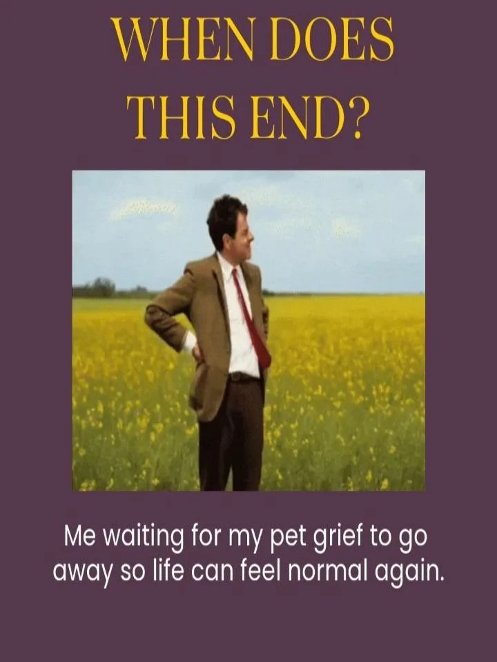 Waiting for pet grief to end can feel like waiting for your life to begin again.

Doing something with your grief can lessen its intensity. That&rsquo;s why I plan a mix of activities every month. August is especially big for Griefy Friends as we cel