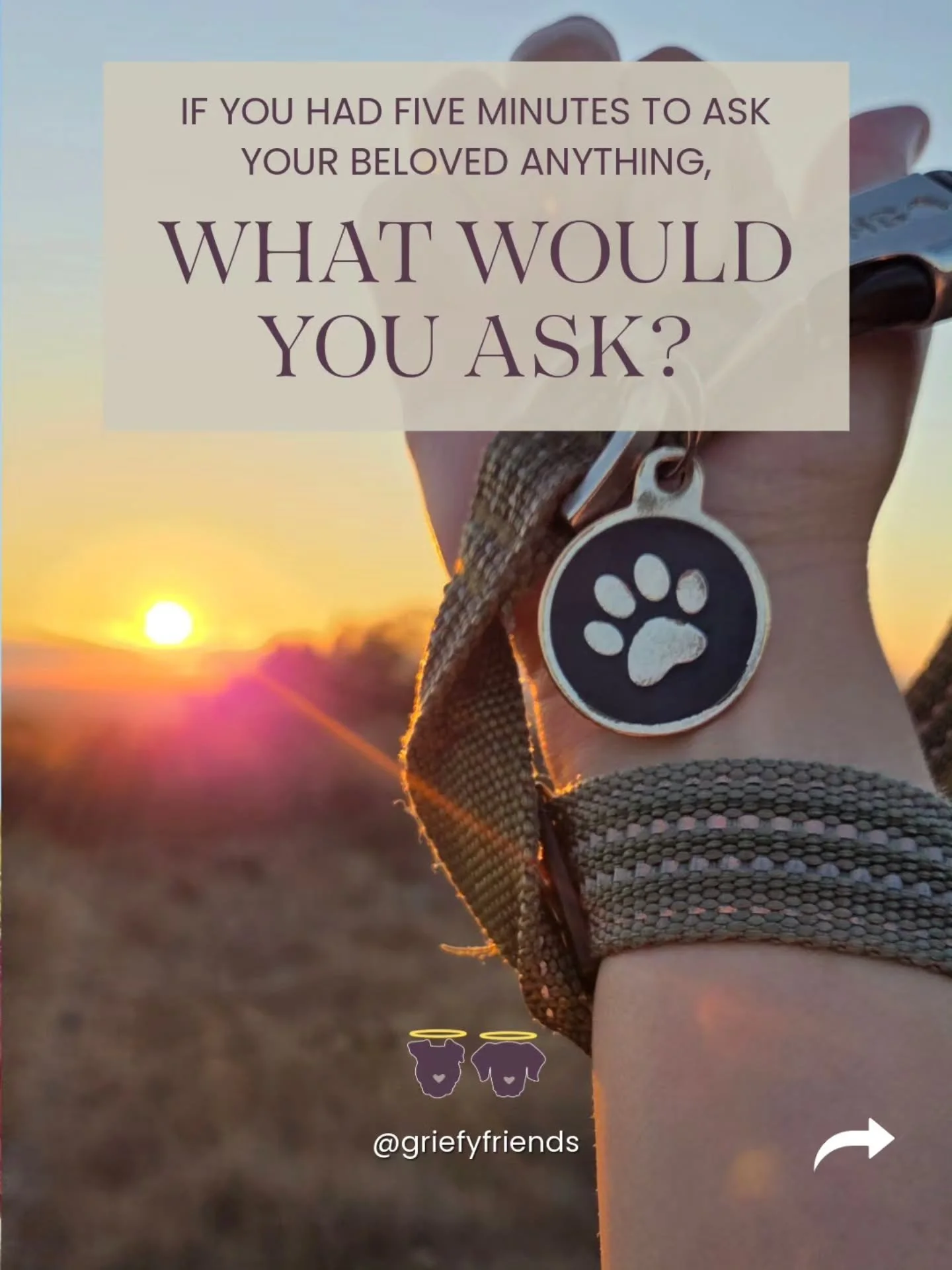 What if talking to your soul pet after pet loss was possible. What would you ask? One great way to honor them is by continuing your relationship and that can mean animal communication.

Some pet parents do that on their own. Others choose to work wit