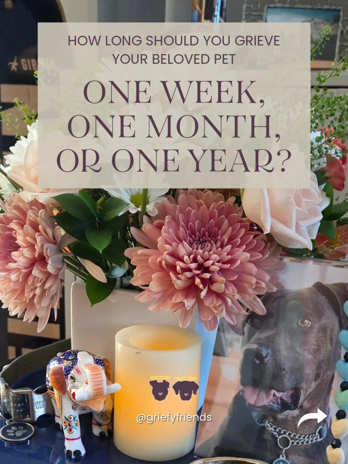 Writing about pet grief can be hard and intimidating. That&rsquo;s one reason I created our journaling cohort. I wanted accountability around actually sitting down and doing it.

For me, seeing other people submit their answers encourages me to submi