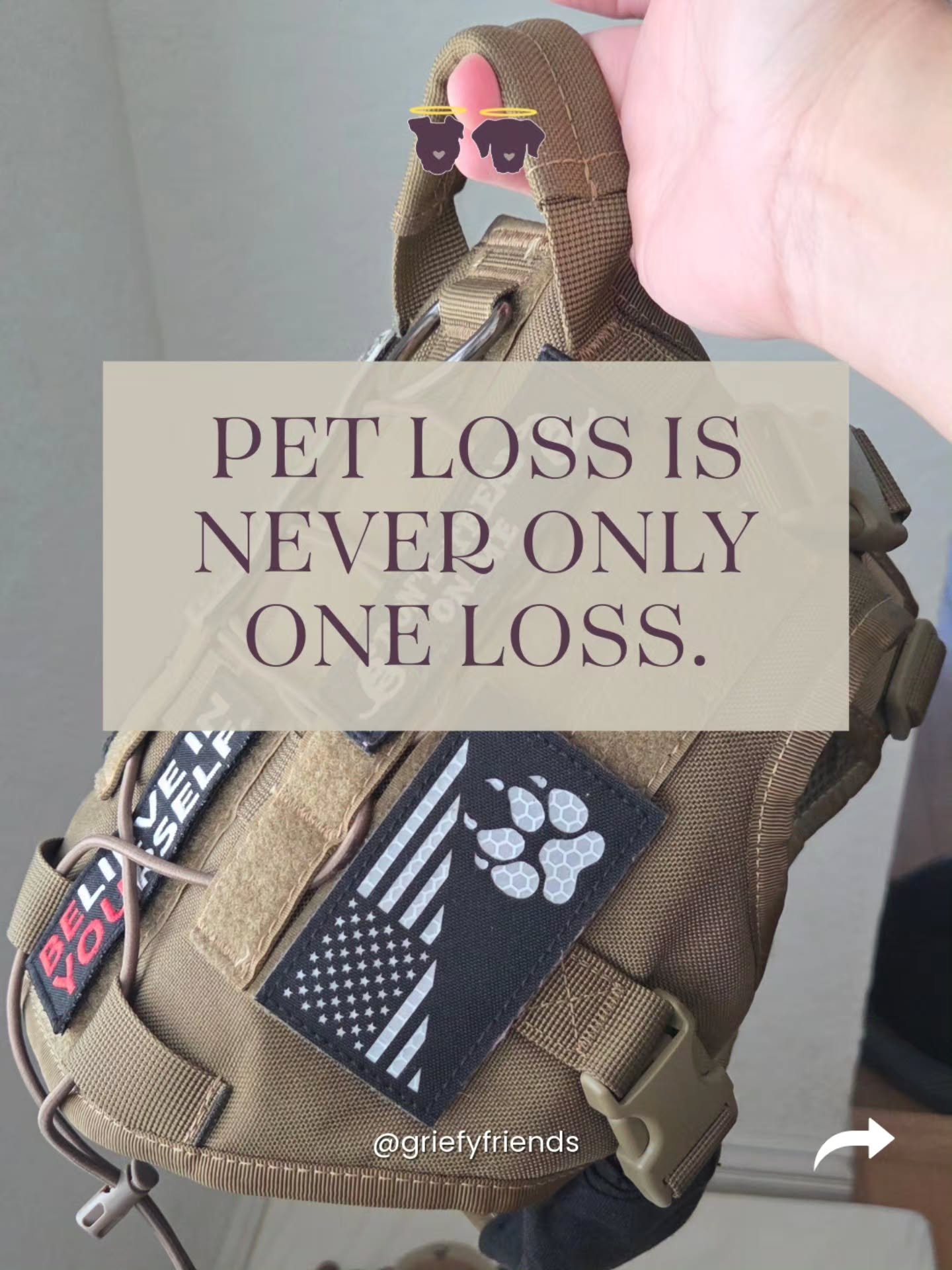 Physical touch is the loss I miss the most. Those big hugs, long massages, and mini kisses.

But we lose many things after pet loss and its important to recognize.

The caretaking stops. No longer feeding them, managing medications, watching symptoms
