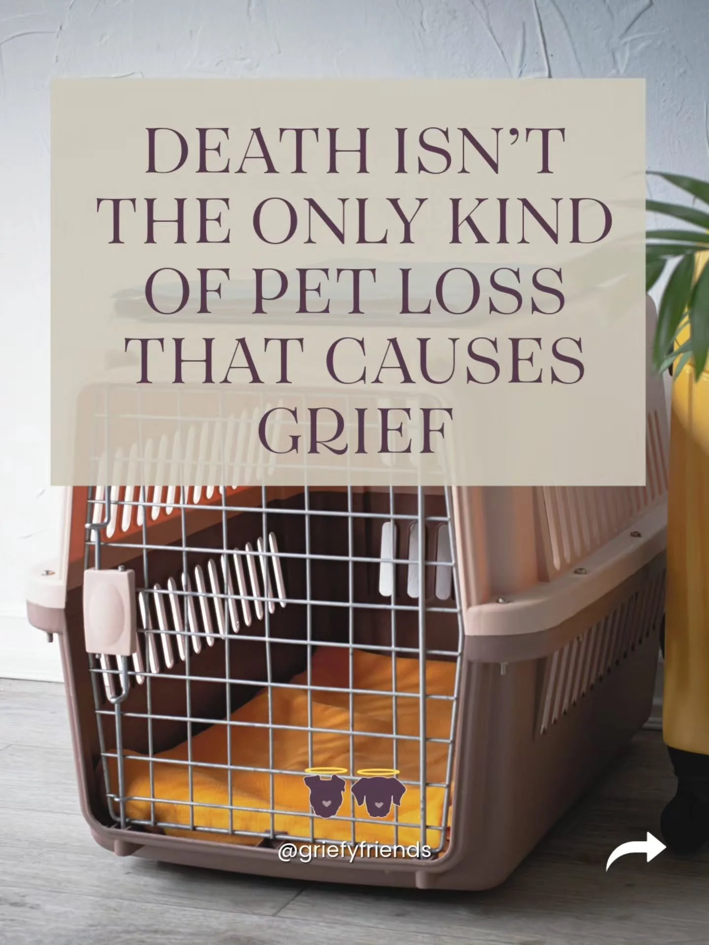 You don&rsquo;t have to lose an animal companion to death to experience grief. You may have had to rehome an animal companion or you may have returned an animal to a shelter or breeder and lost the relationship you hoped to build.

The circumstances 