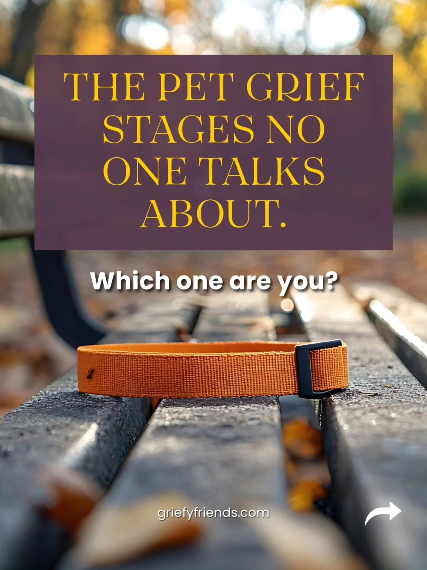 After Sammy and Mia died, I was in the &ldquo;I&rsquo;m numb&rdquo; stage for so long, it started to scare me.

At first, it was kind of nice not to care about everything. But then I started worrying: what if I never care about anything again?

Pet g