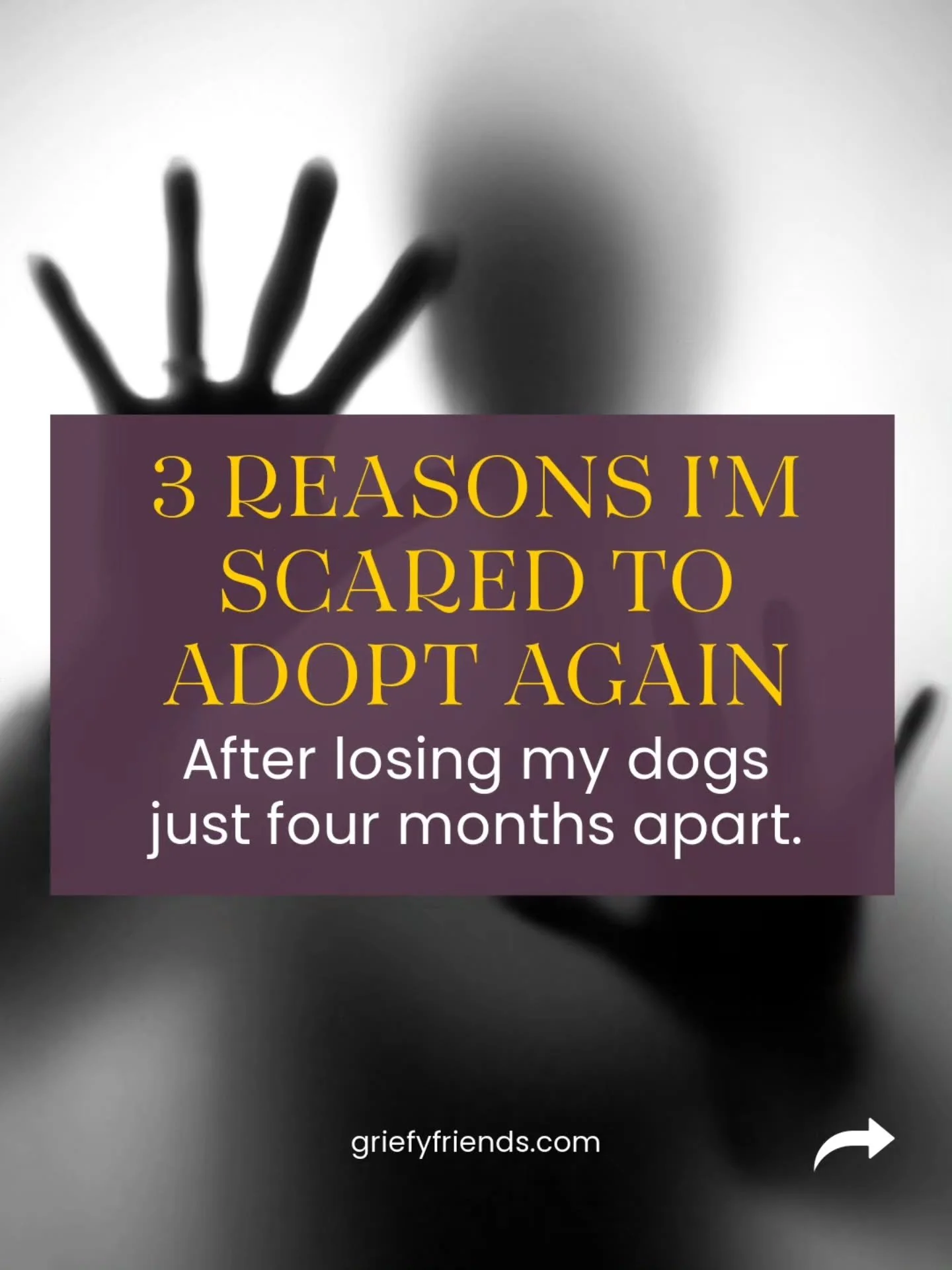 What scares you about adopting again after pet loss?
For me, it's the thought of having to go through everything I experienced with Sammy and Mia all over again.

I lost my dogs just four months apart. The medical challenges, the uncertainty, the ant
