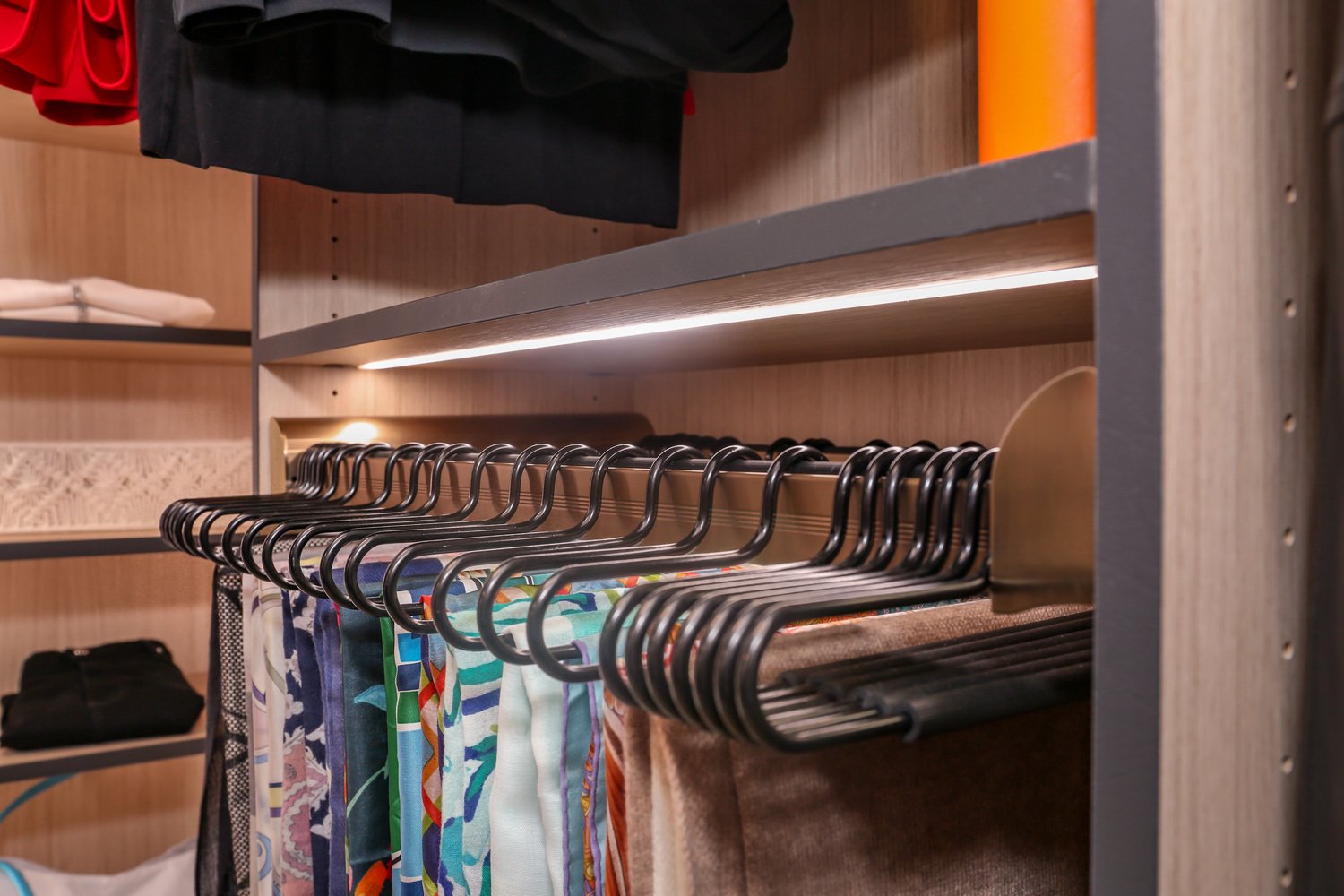 Custom closet with LED lighting and a scarf and tie rack