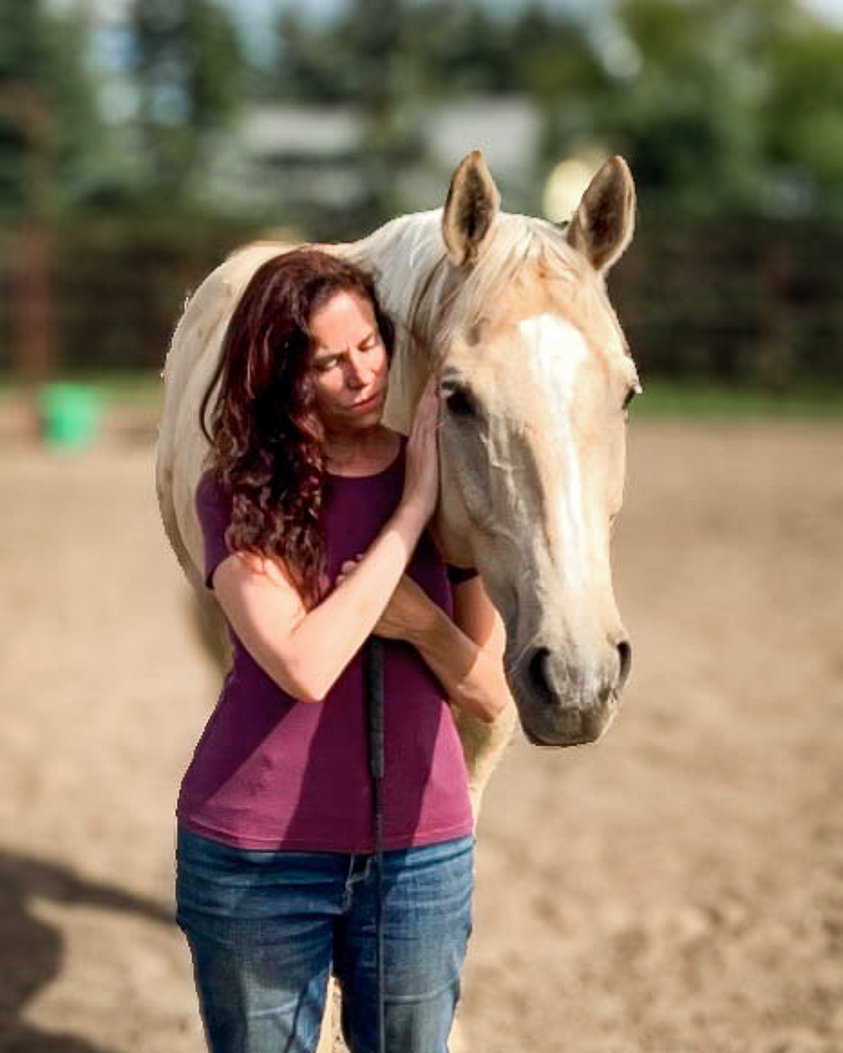 What to Expect in Your First Equine Therapy Session