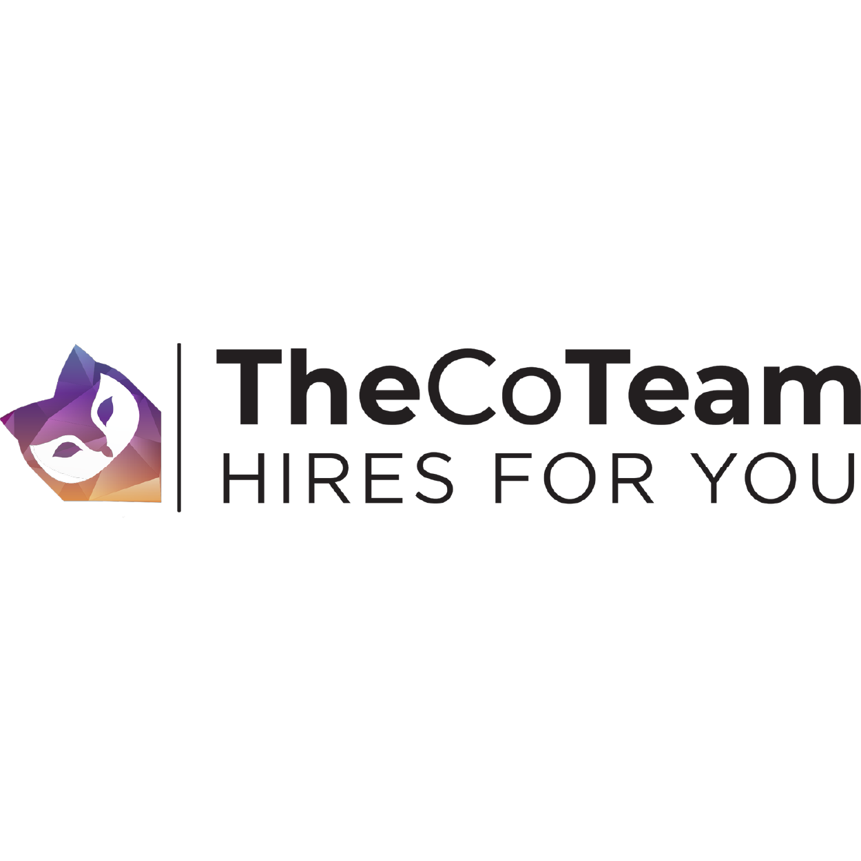 The Coteam