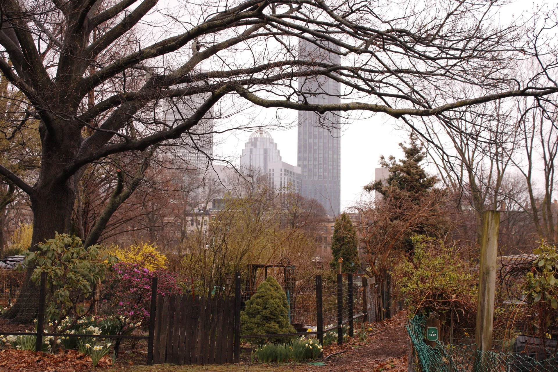 Co-Gardener Codification — A Letter to the Membership