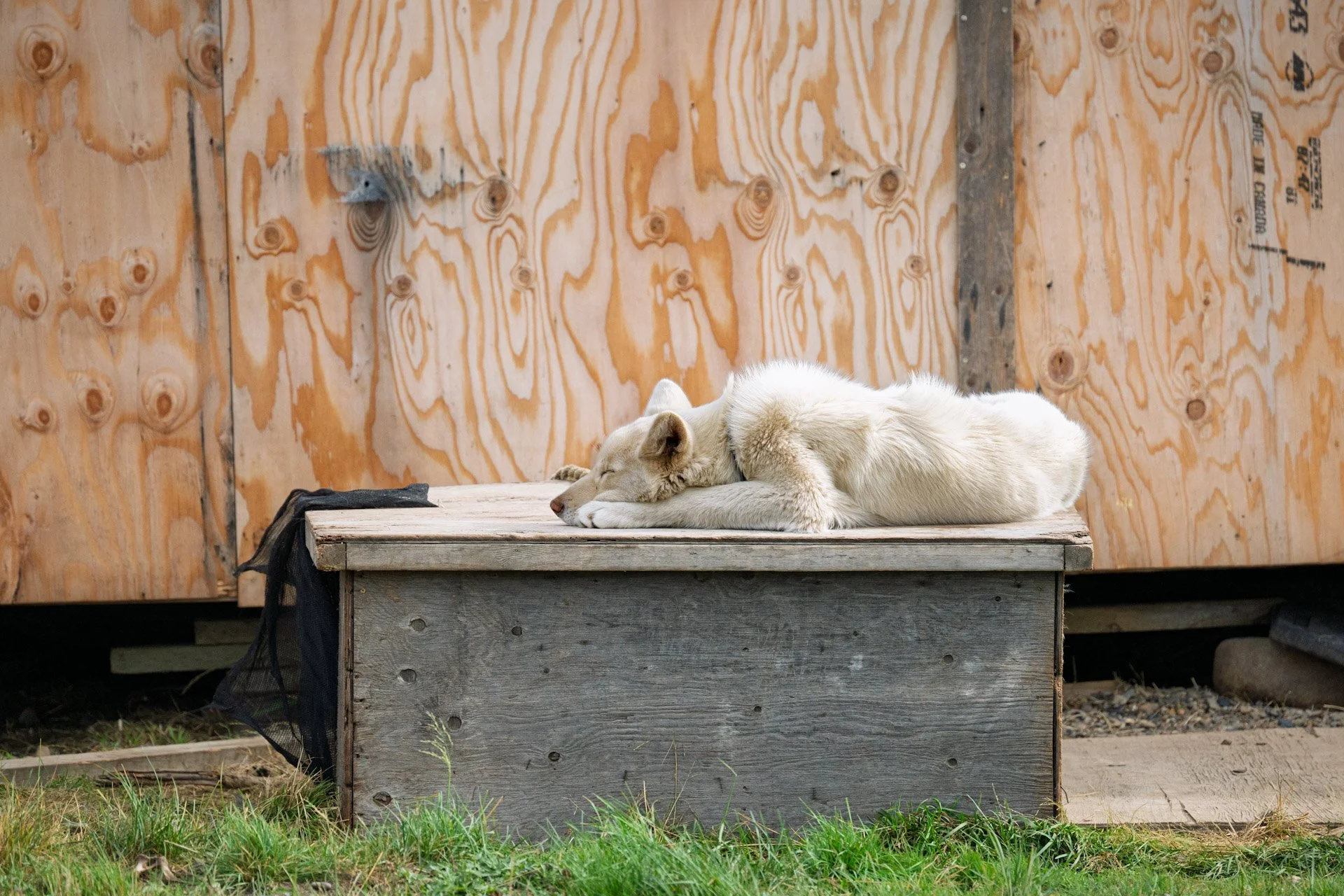 Tuktoyaktuk, Territoires du Nord Ouest, 2025