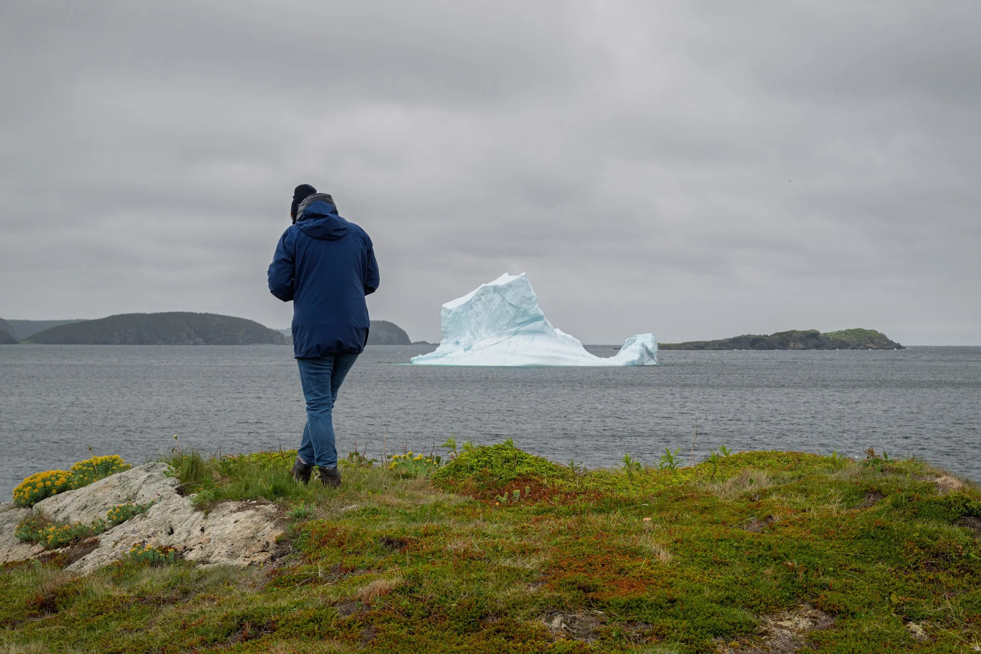 Terre-Neuve, Canada, juin 2025