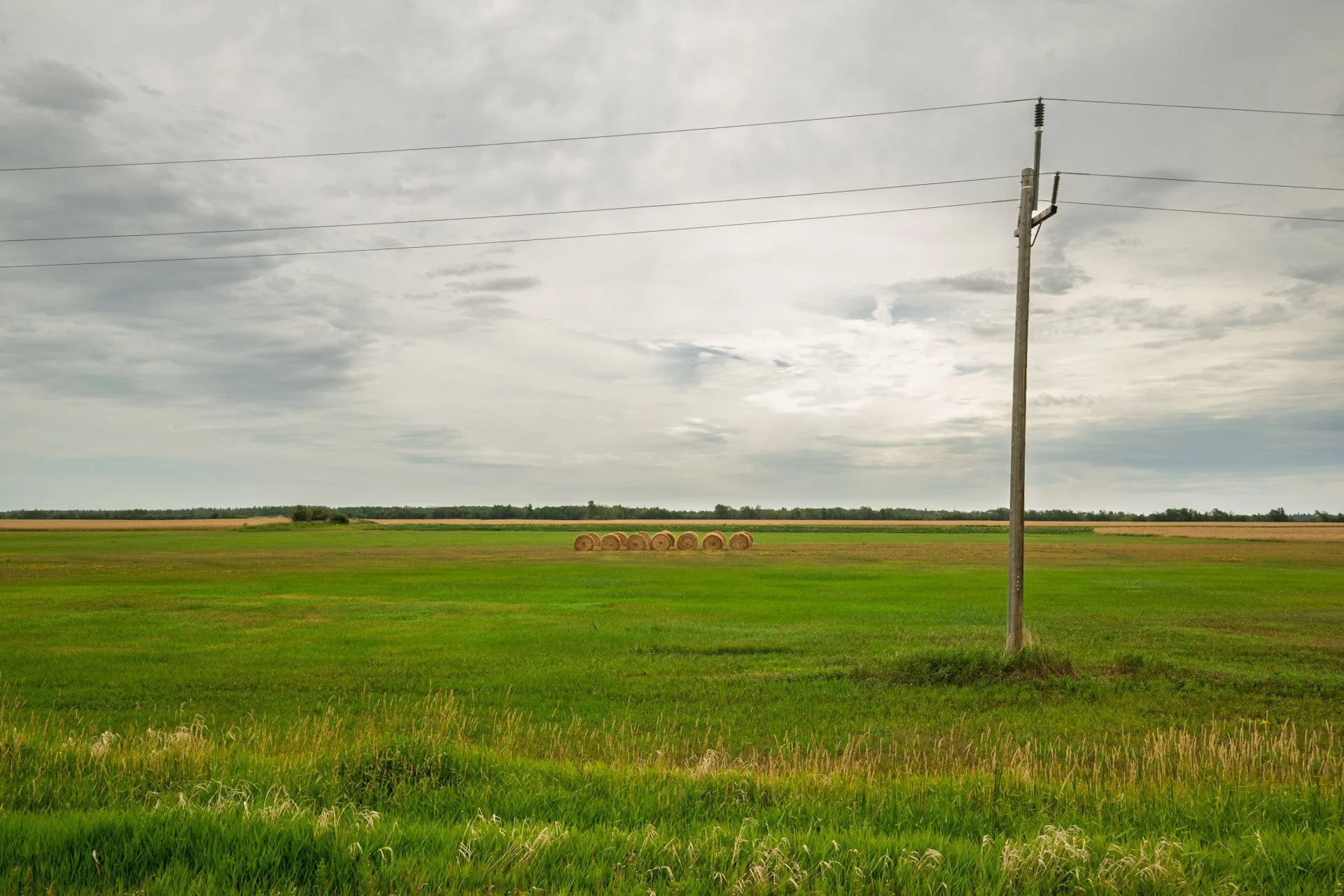 Les prairies canadiennes 2025