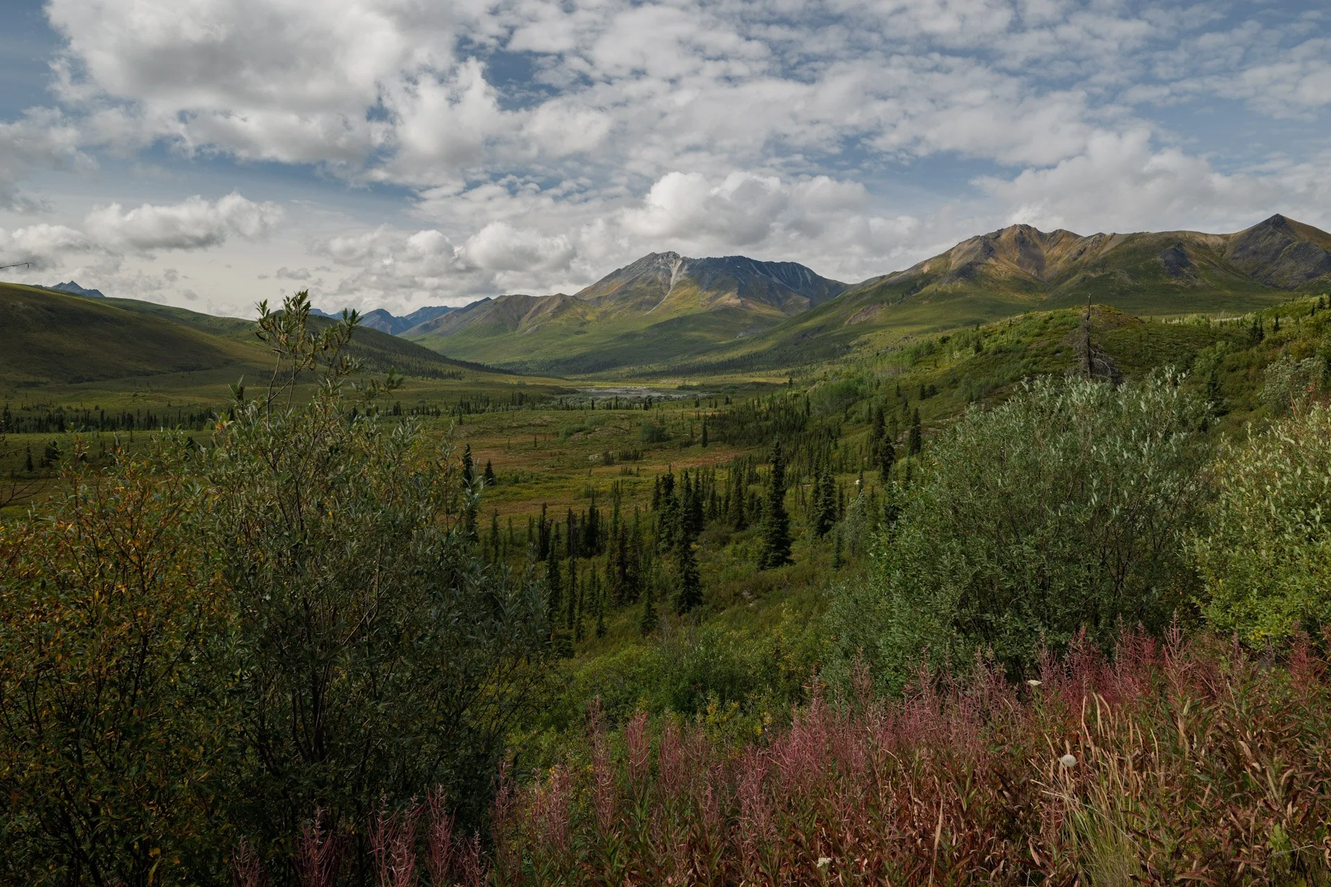 Dempster Highway (Tombstone Territorial Park), 2025