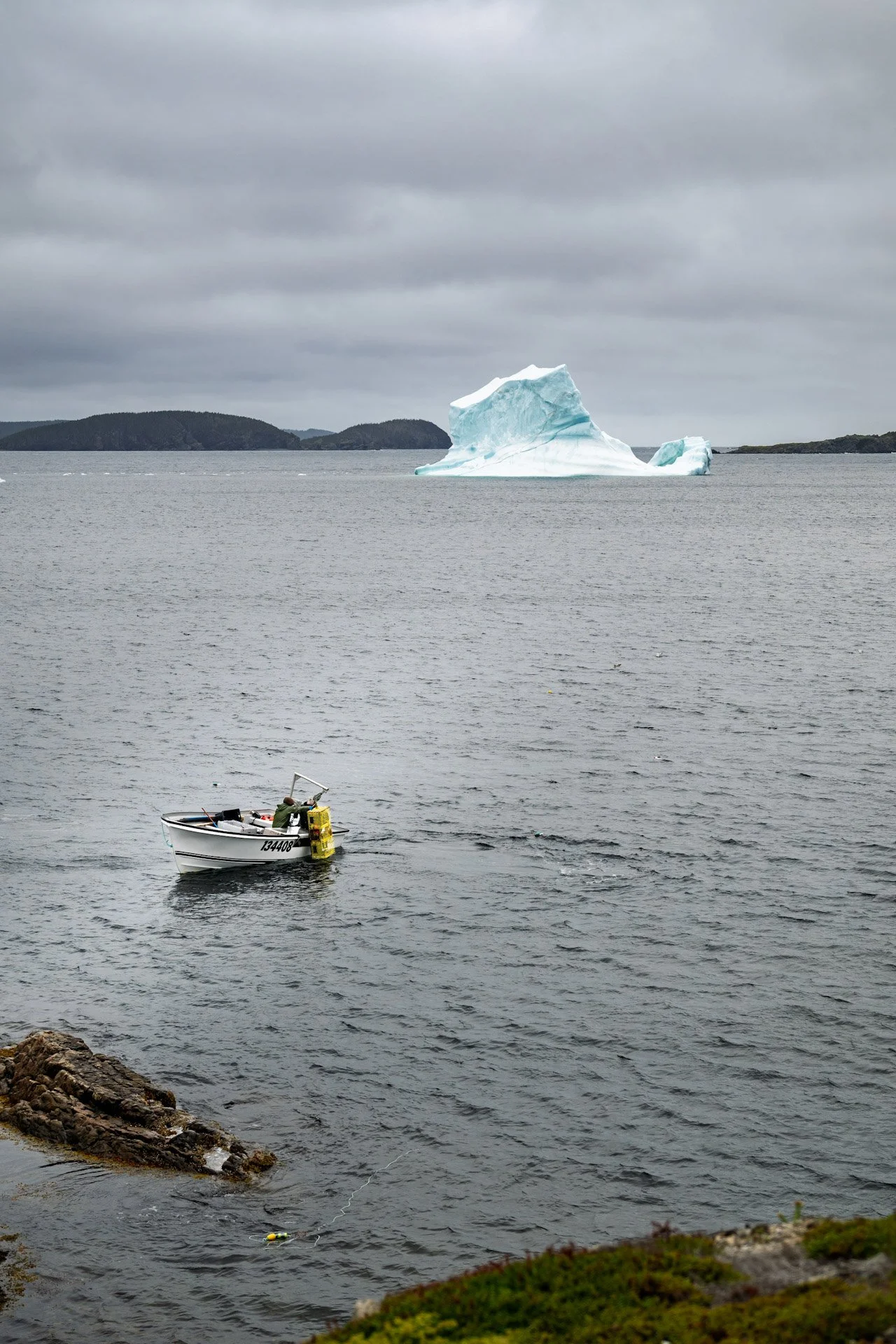 Terre-Neuve, Canada, juin 2025