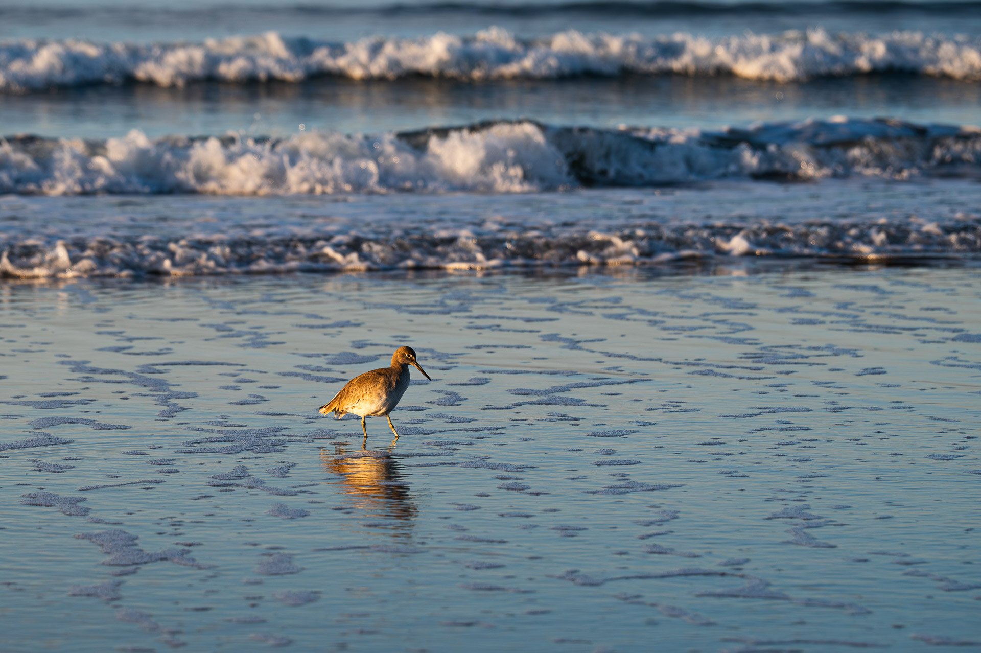 Coronado, CA, États-Unis Janvier 2024