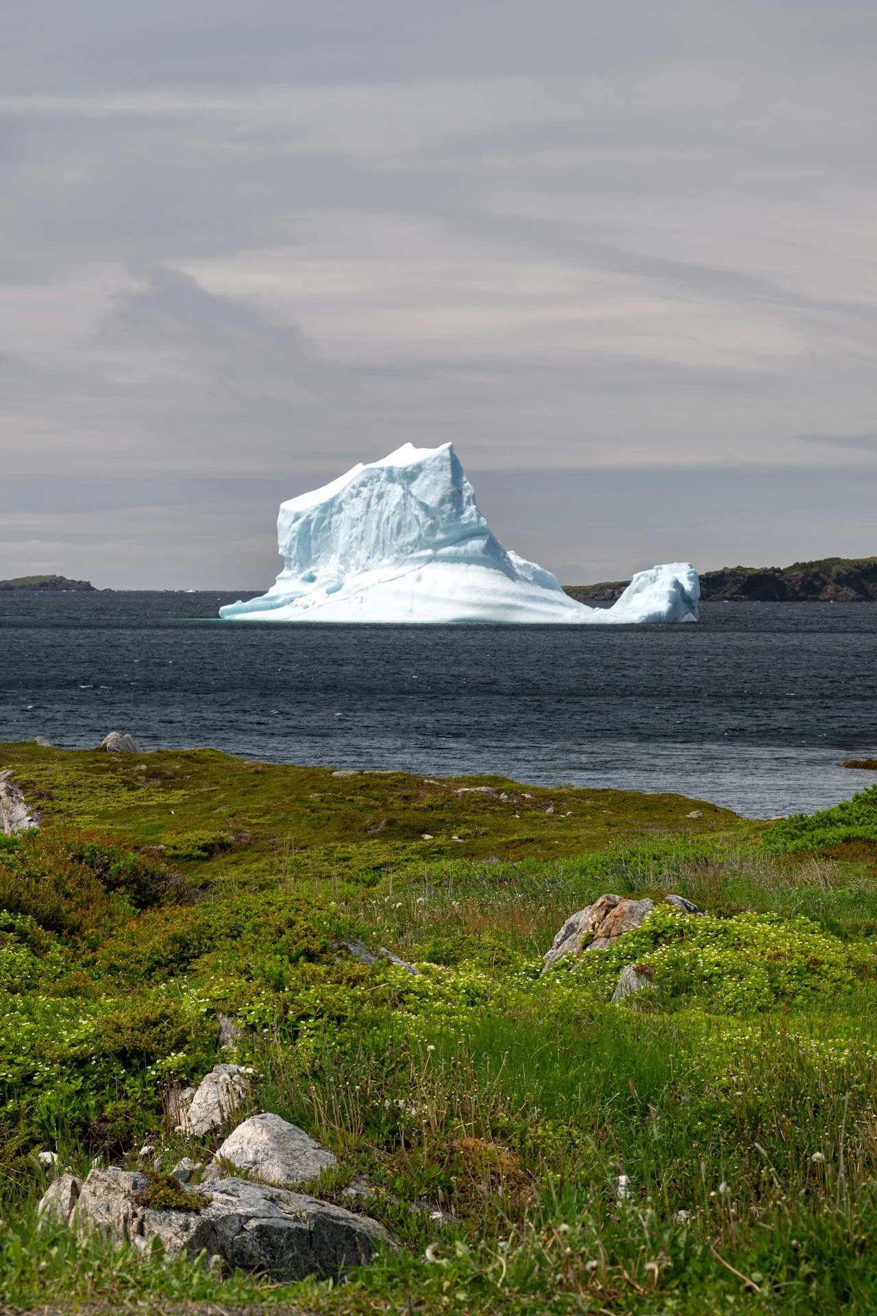 Terre-Neuve, Canada, juin 2025