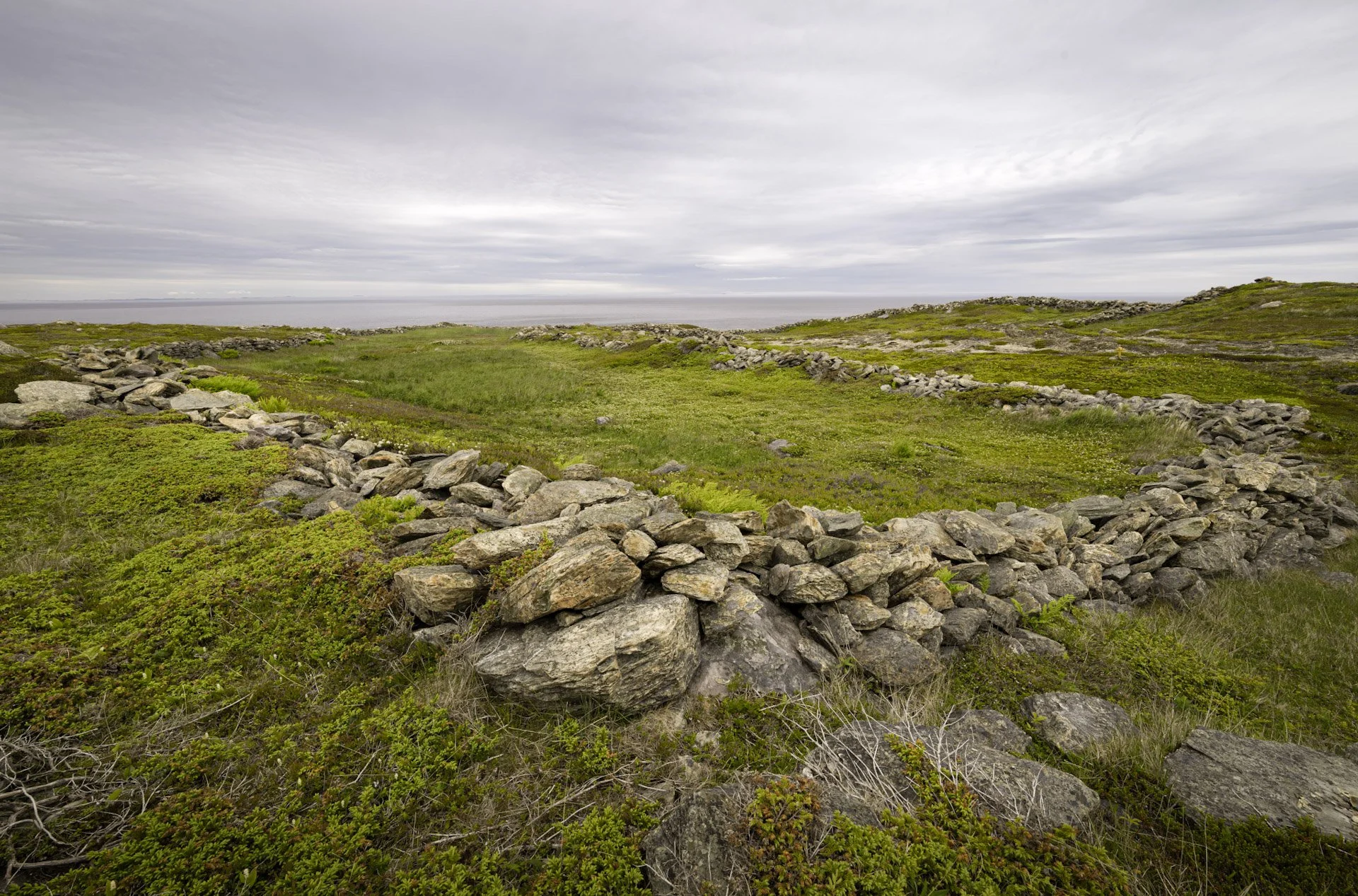 Terre-Neuve, Canada, juin 2025