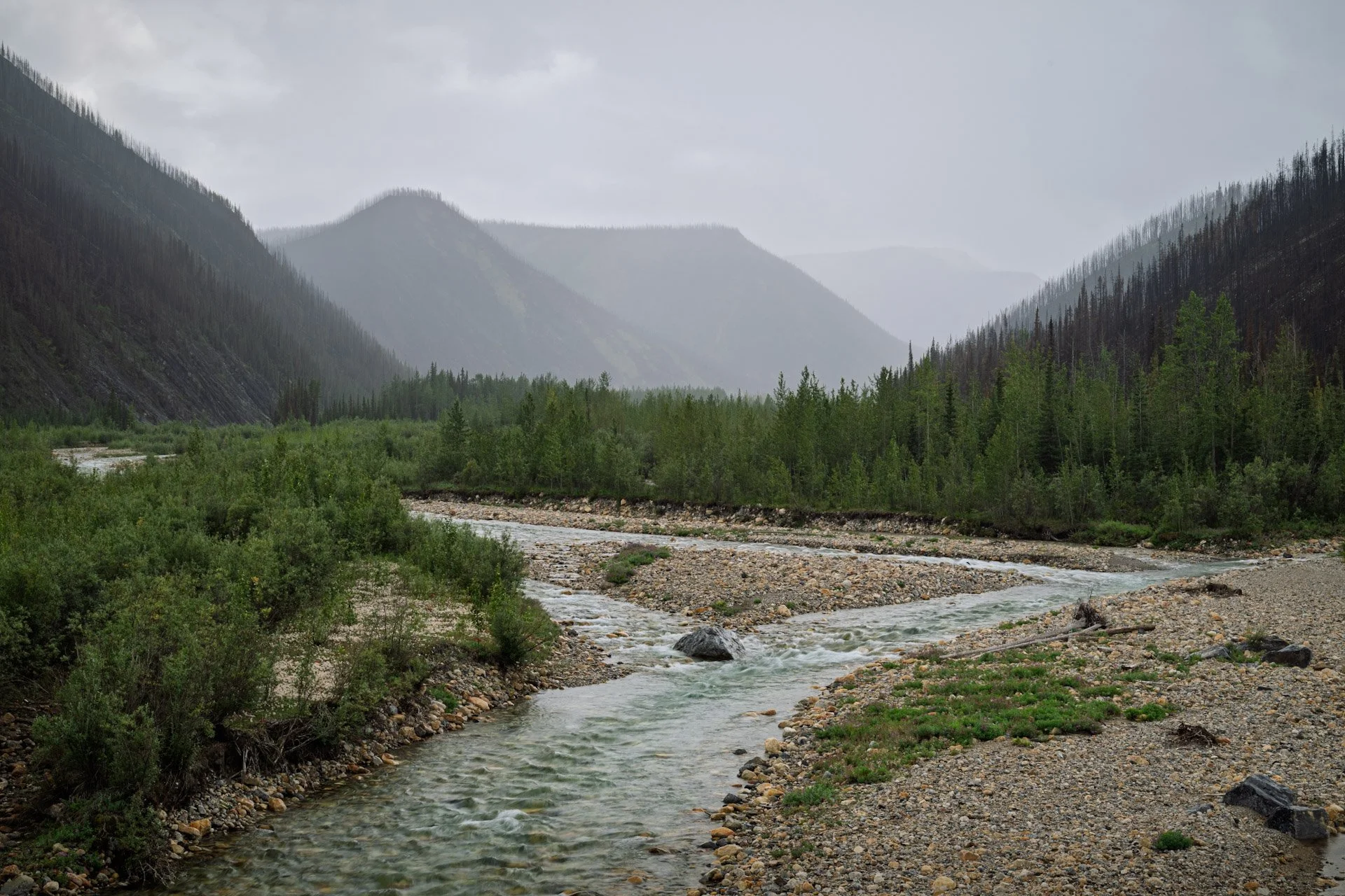 _DSC2435.jpg
